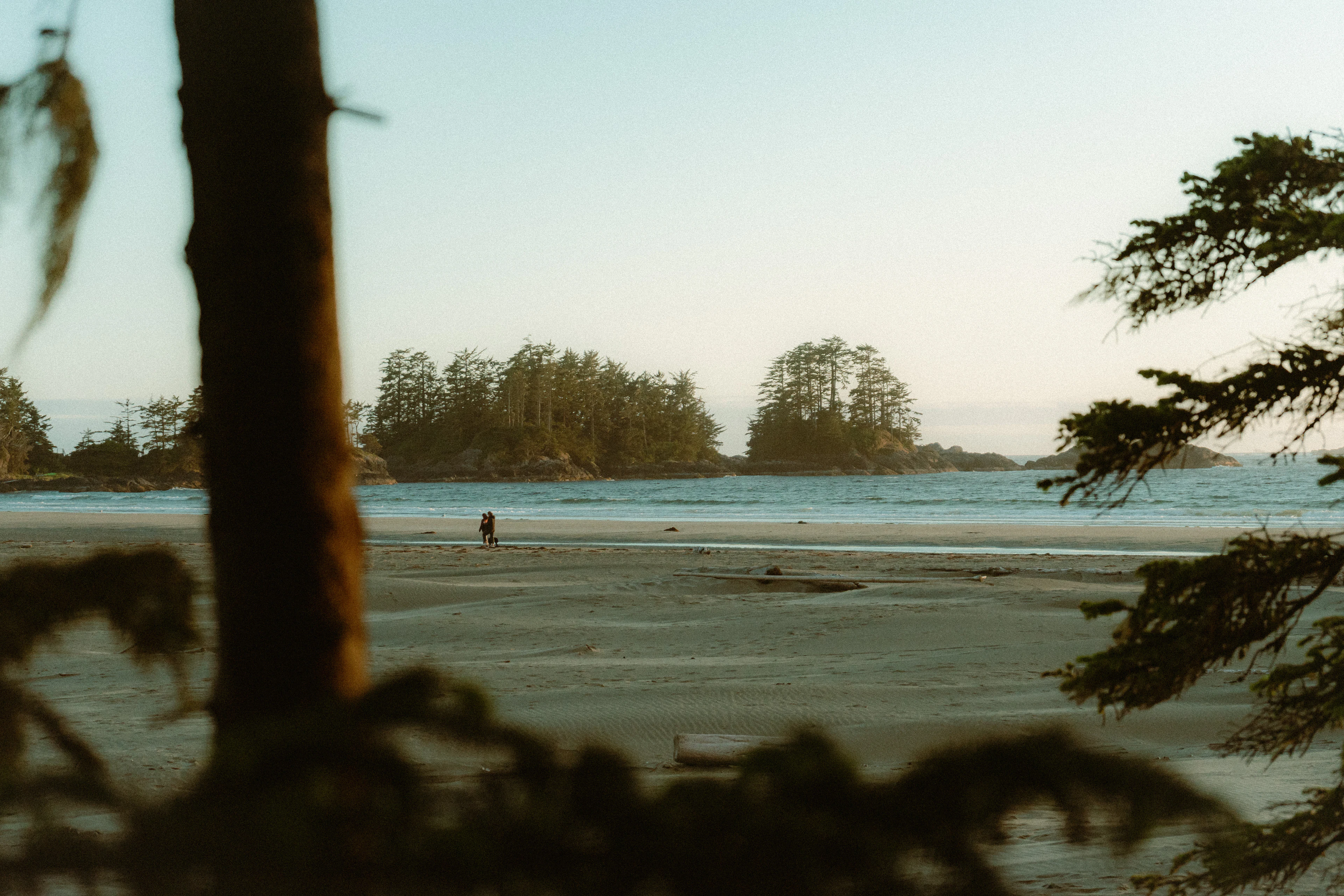 Looking through coastal forest to Chesterman Beach and its wooded islets near Tofino, Vancouver Island