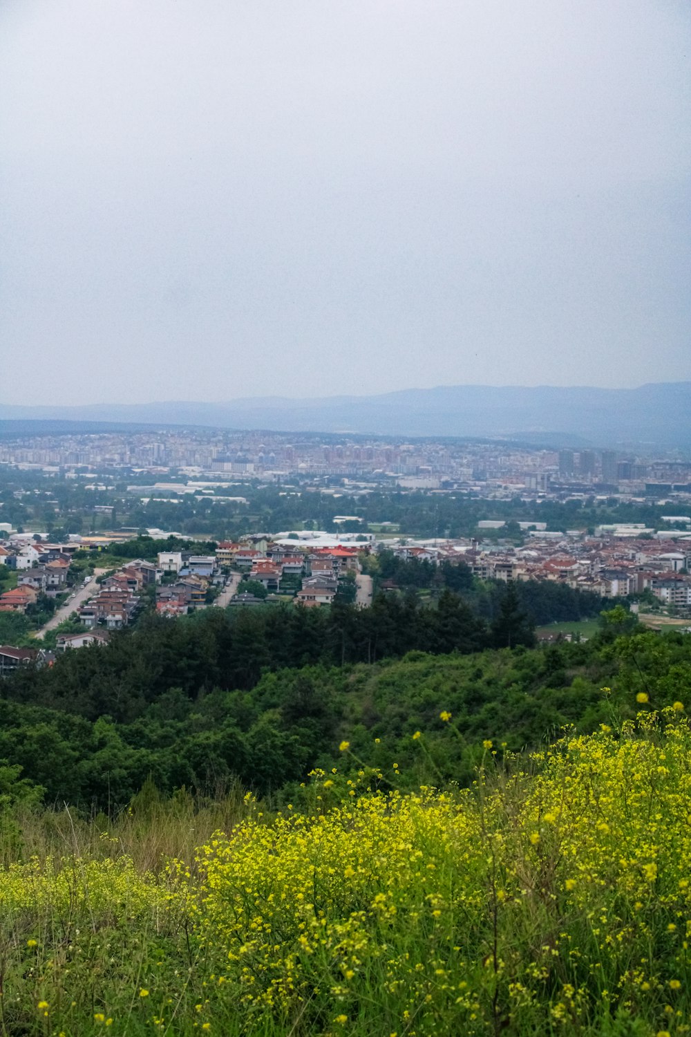 a view of a city from the top of a hill