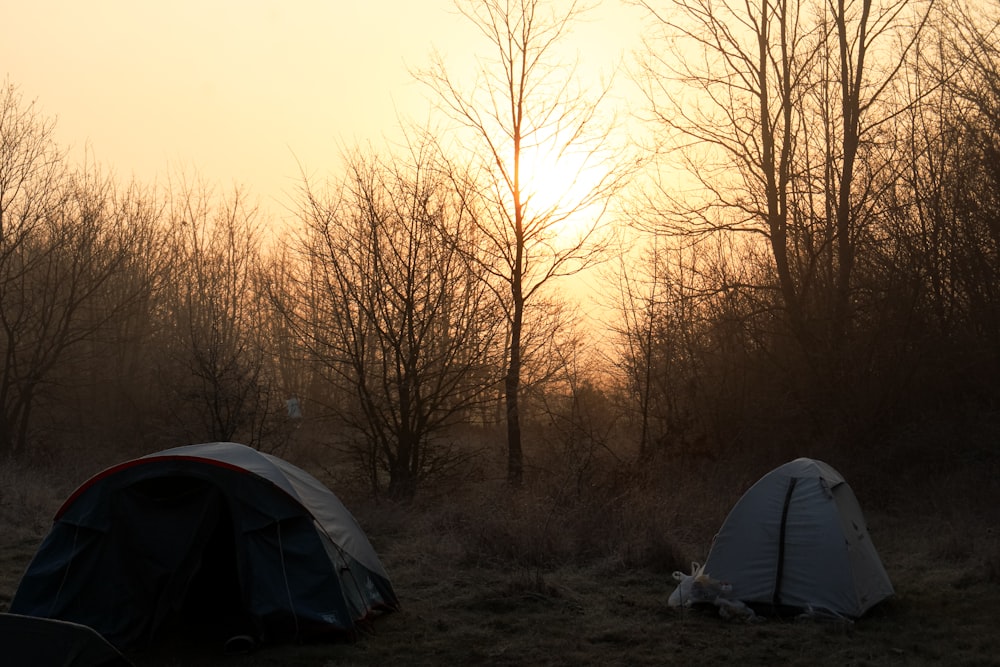 a couple of tents sitting on top of a grass covered field