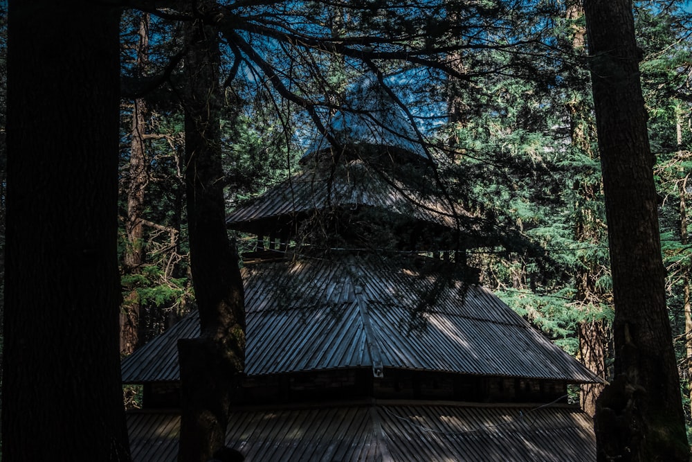 a building in the middle of a forest surrounded by trees