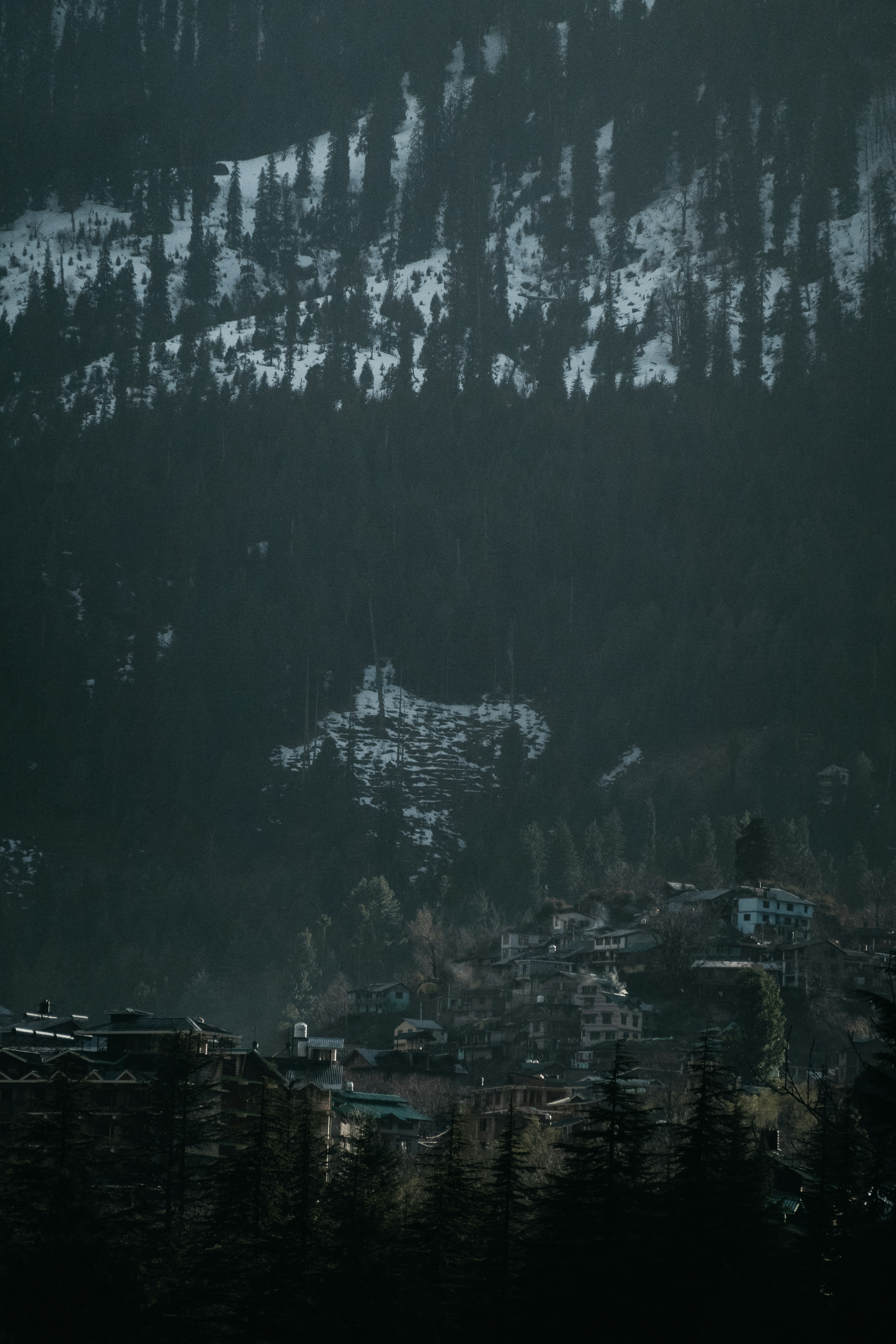 Photo by ruhans