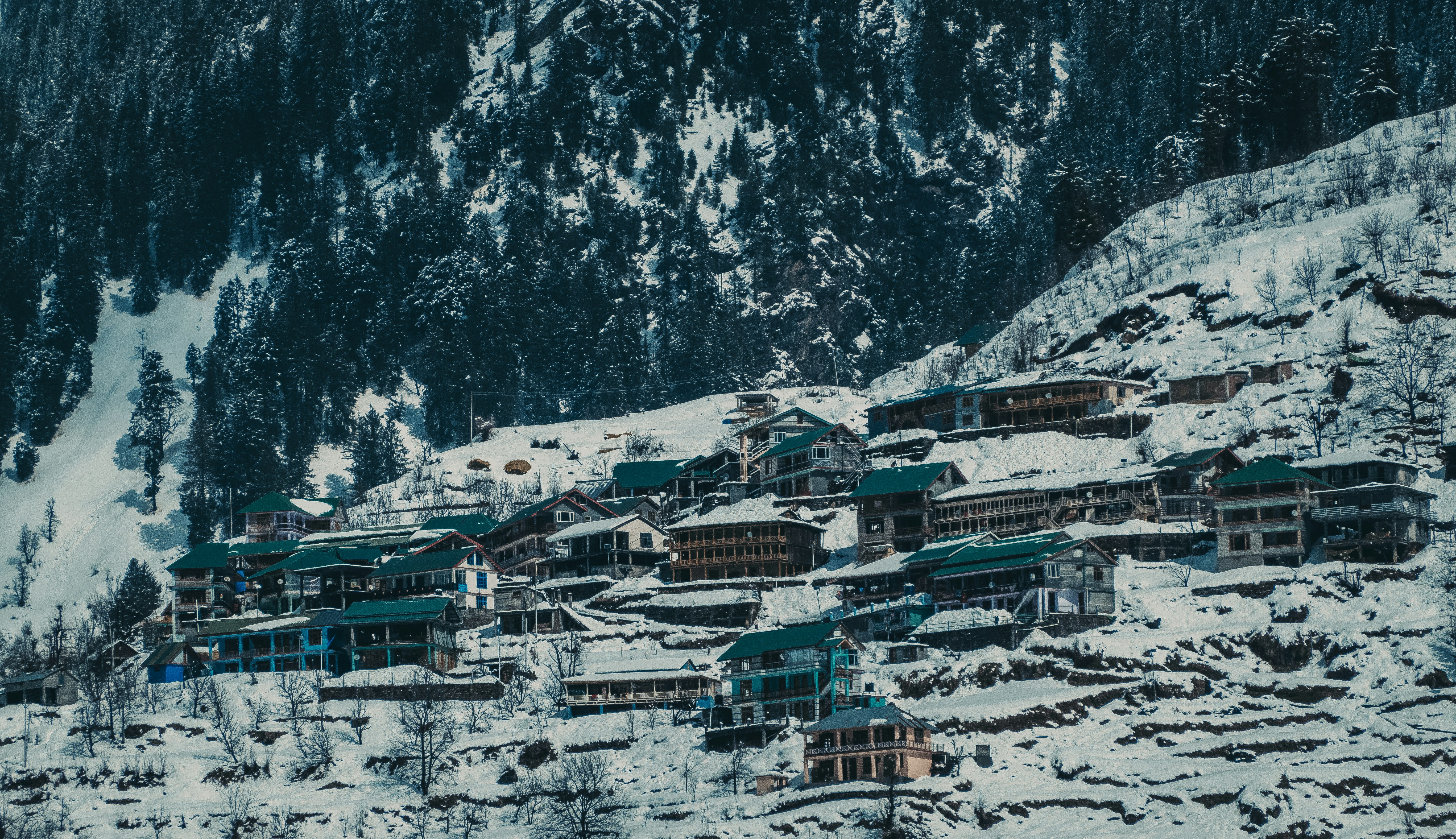 Image credit: Ruhan Shete via unsplash
image of Solang valley, famous tourist spots in Himachal Pradesh