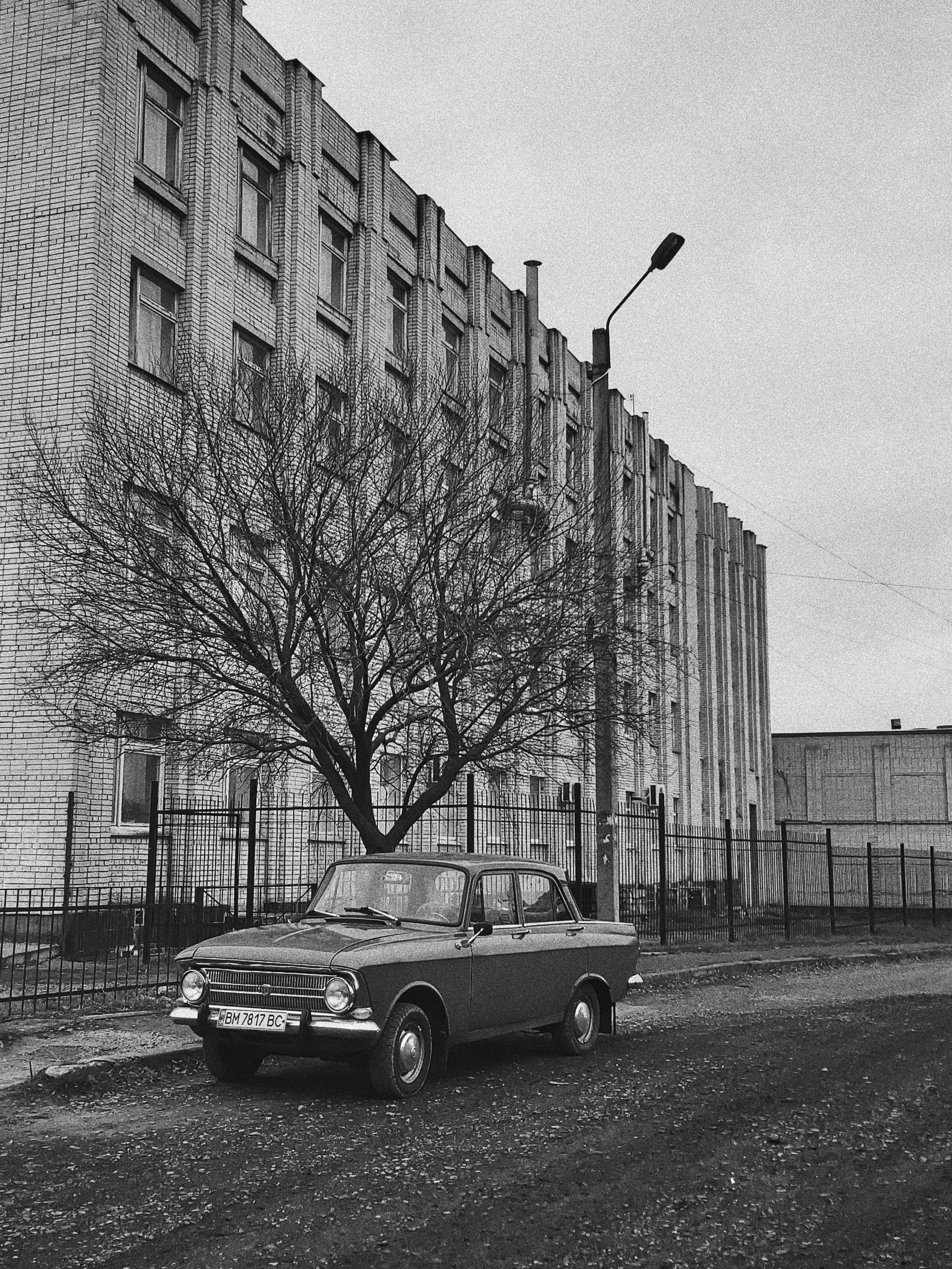 Photo by thewholesun