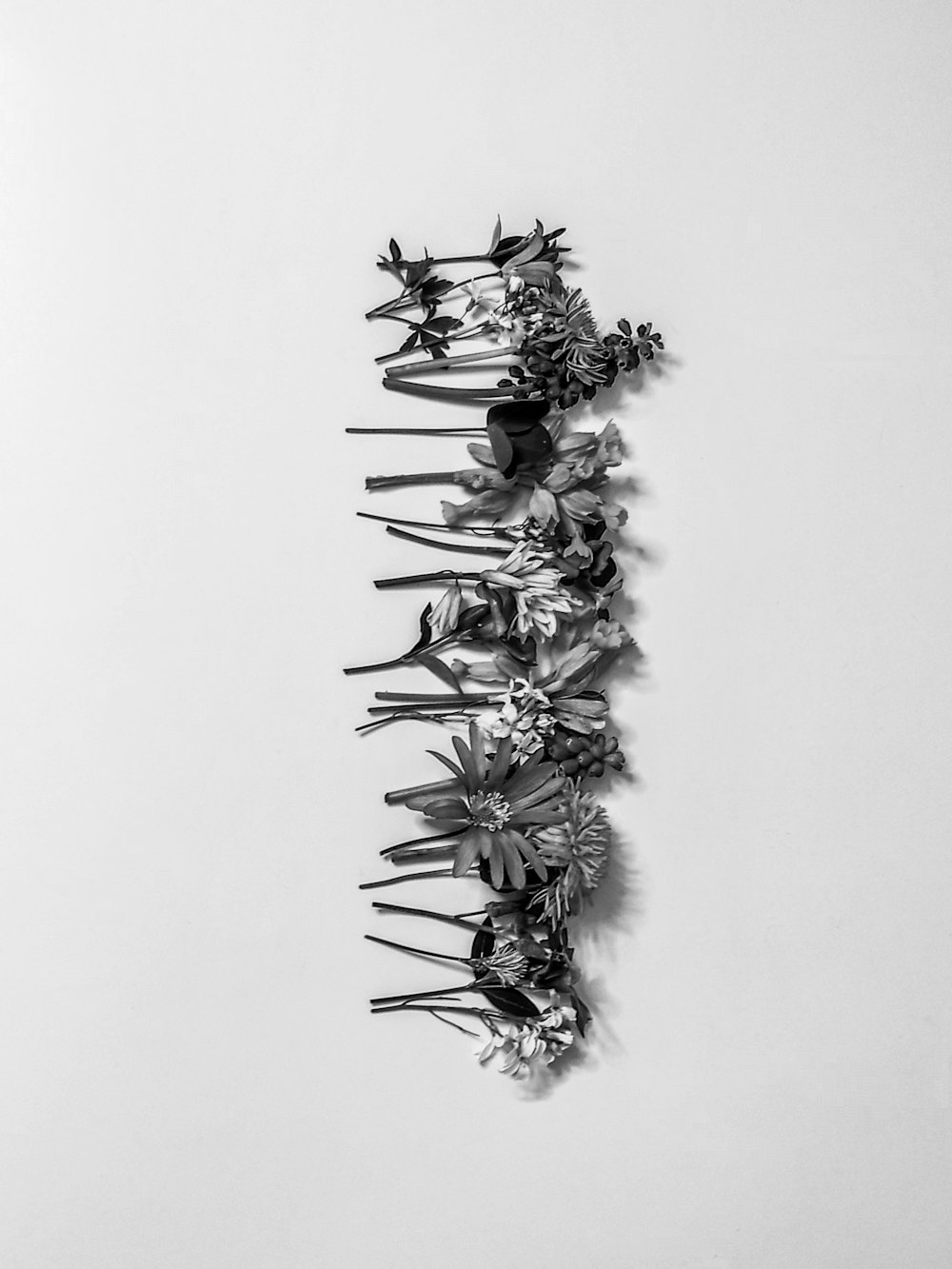 uma foto em preto e branco de um ramo de flores