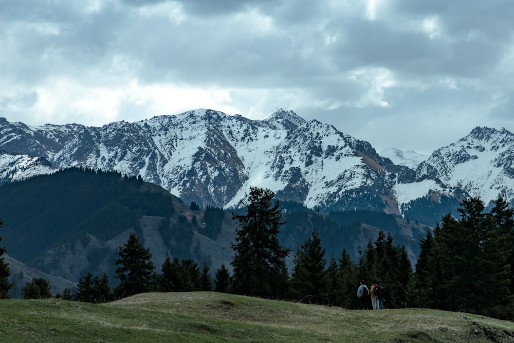 a couple of people standing on top of a lush green hillside