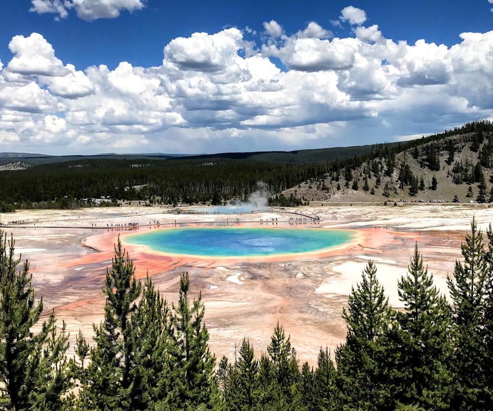 a large pool of water surrounded by trees