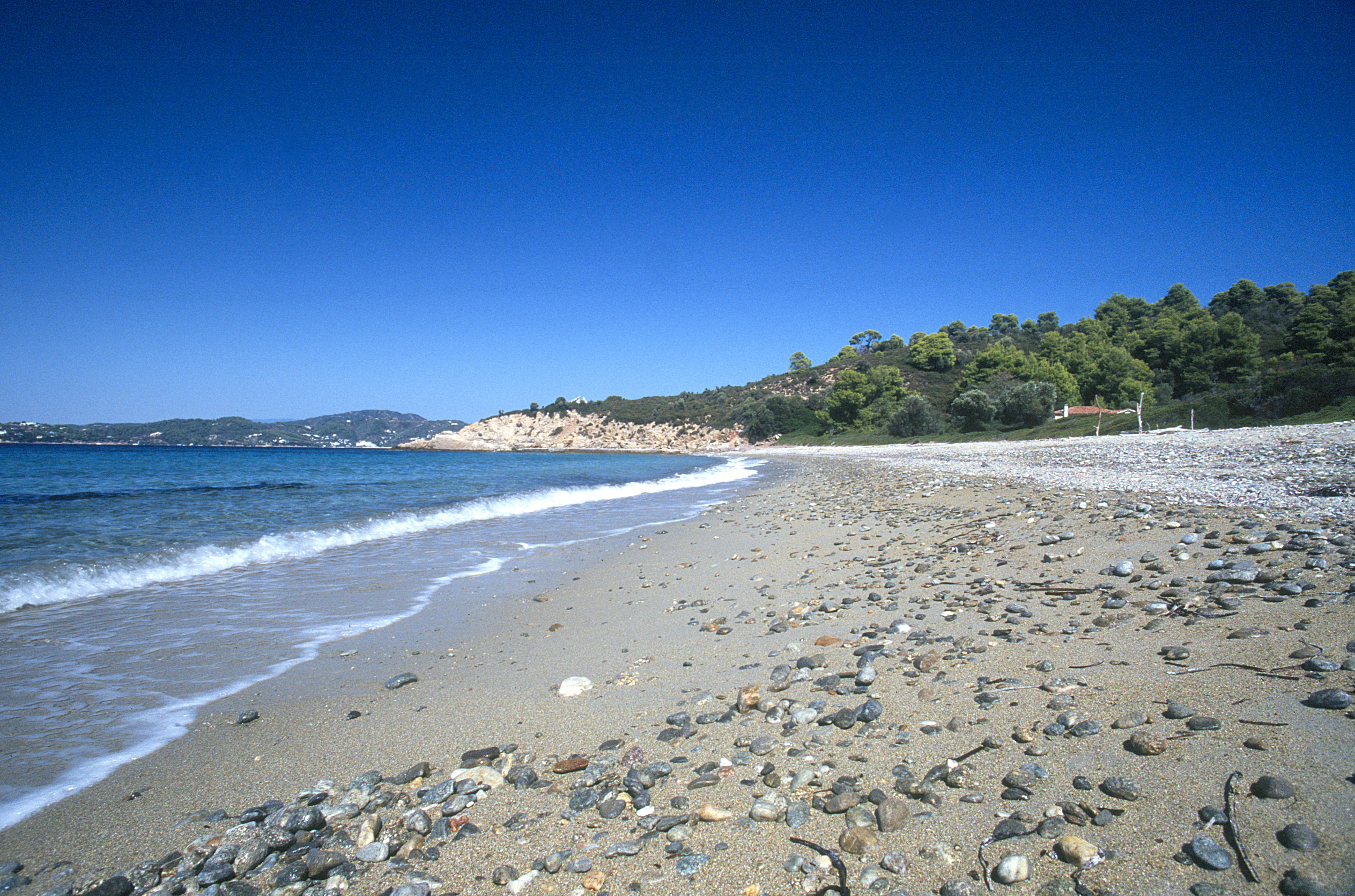 Skiathos travel tips: Beach Hopping with the Kids