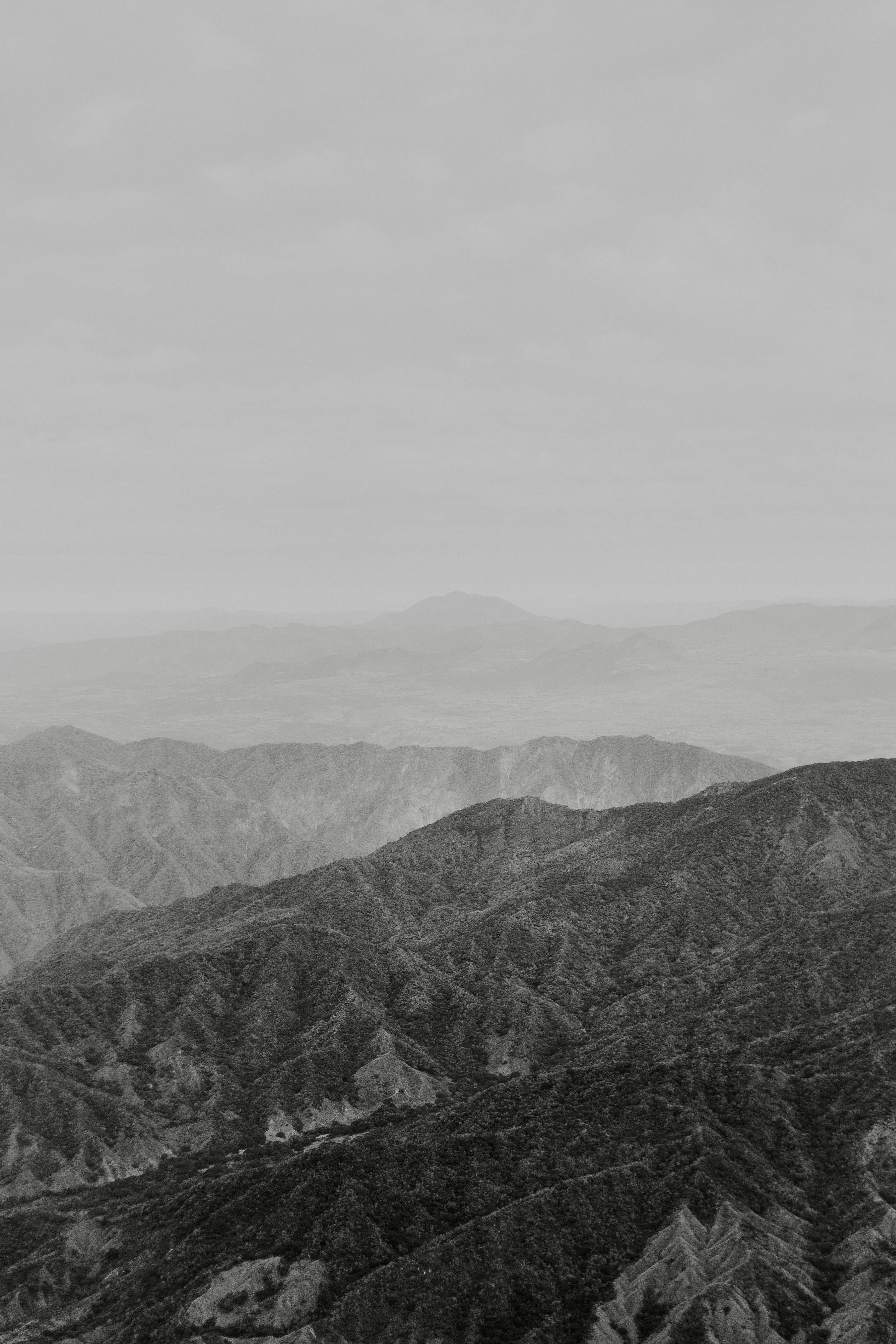 Photo by miguelheezg