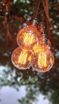 a bunch of light bulbs hanging from a tree