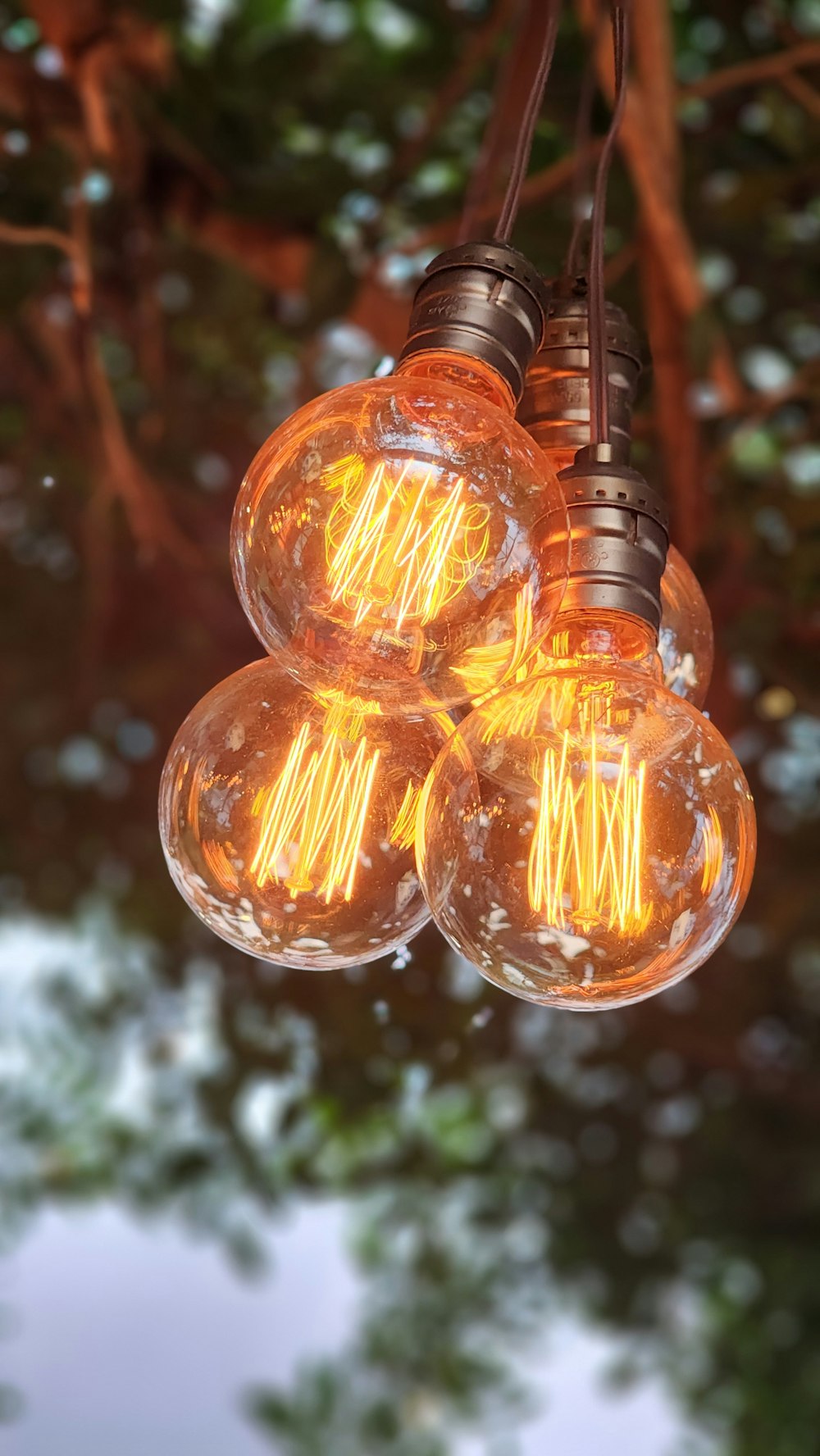 a bunch of light bulbs hanging from a tree