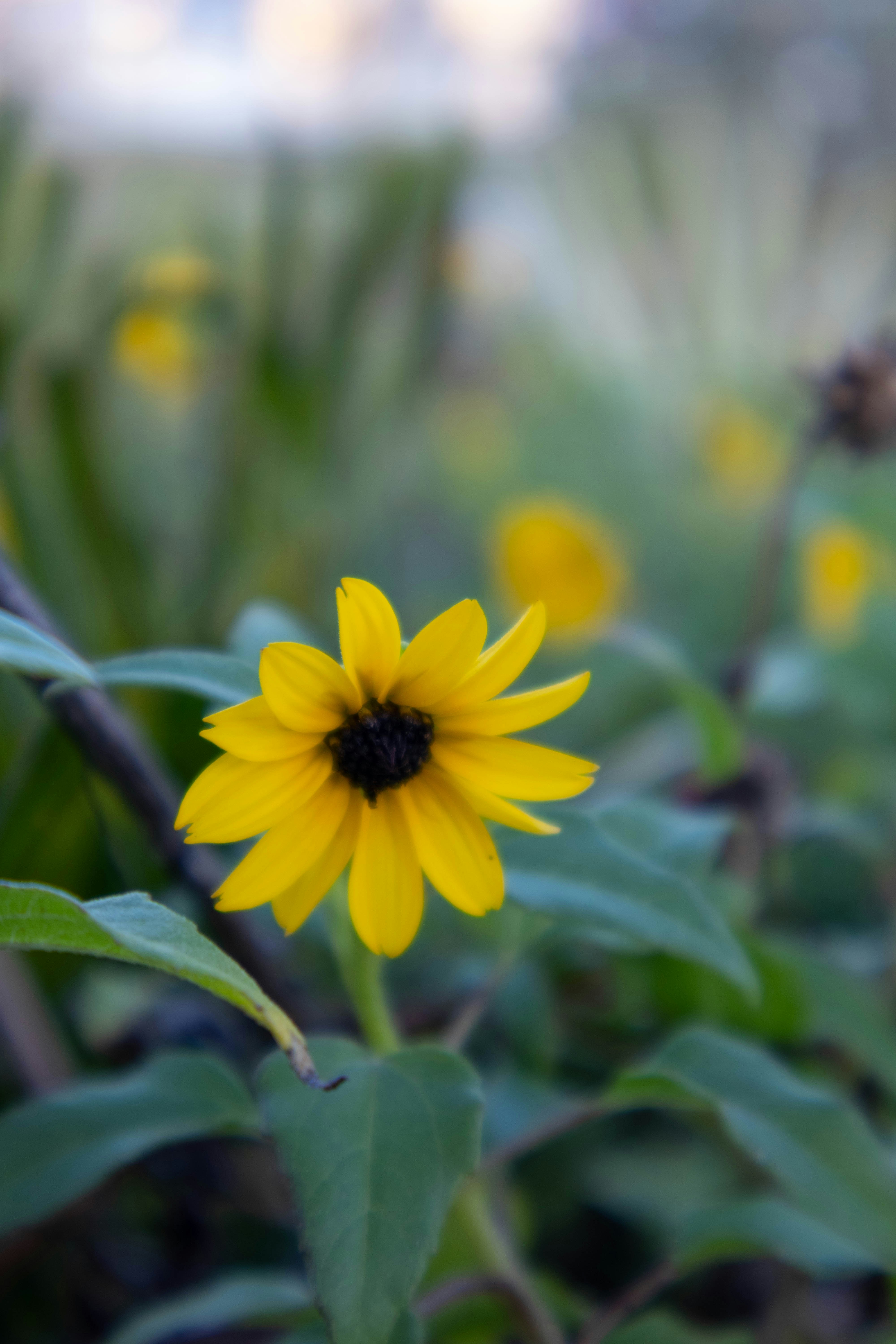 Photo by angelinae31