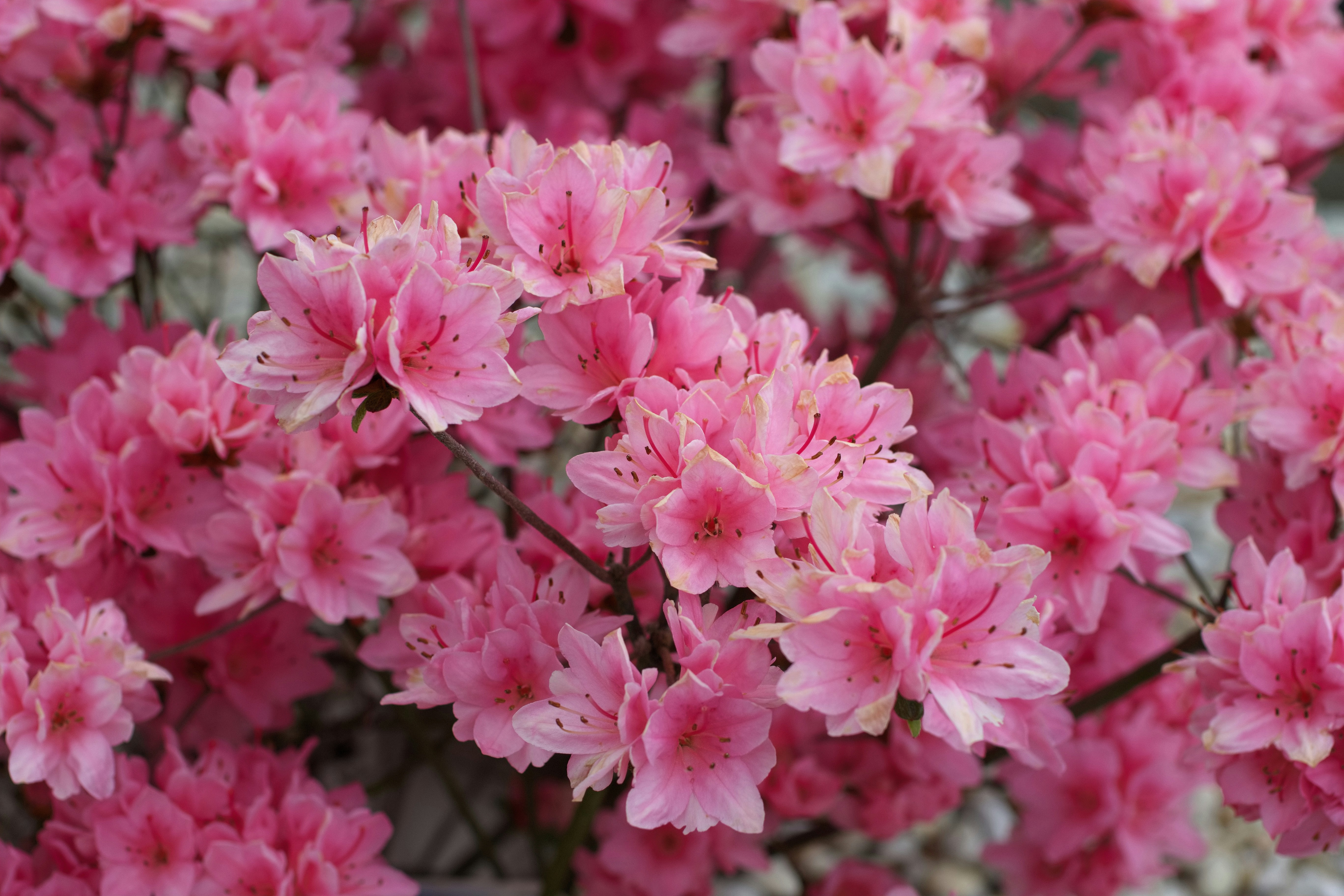 Photo by barryalbert24