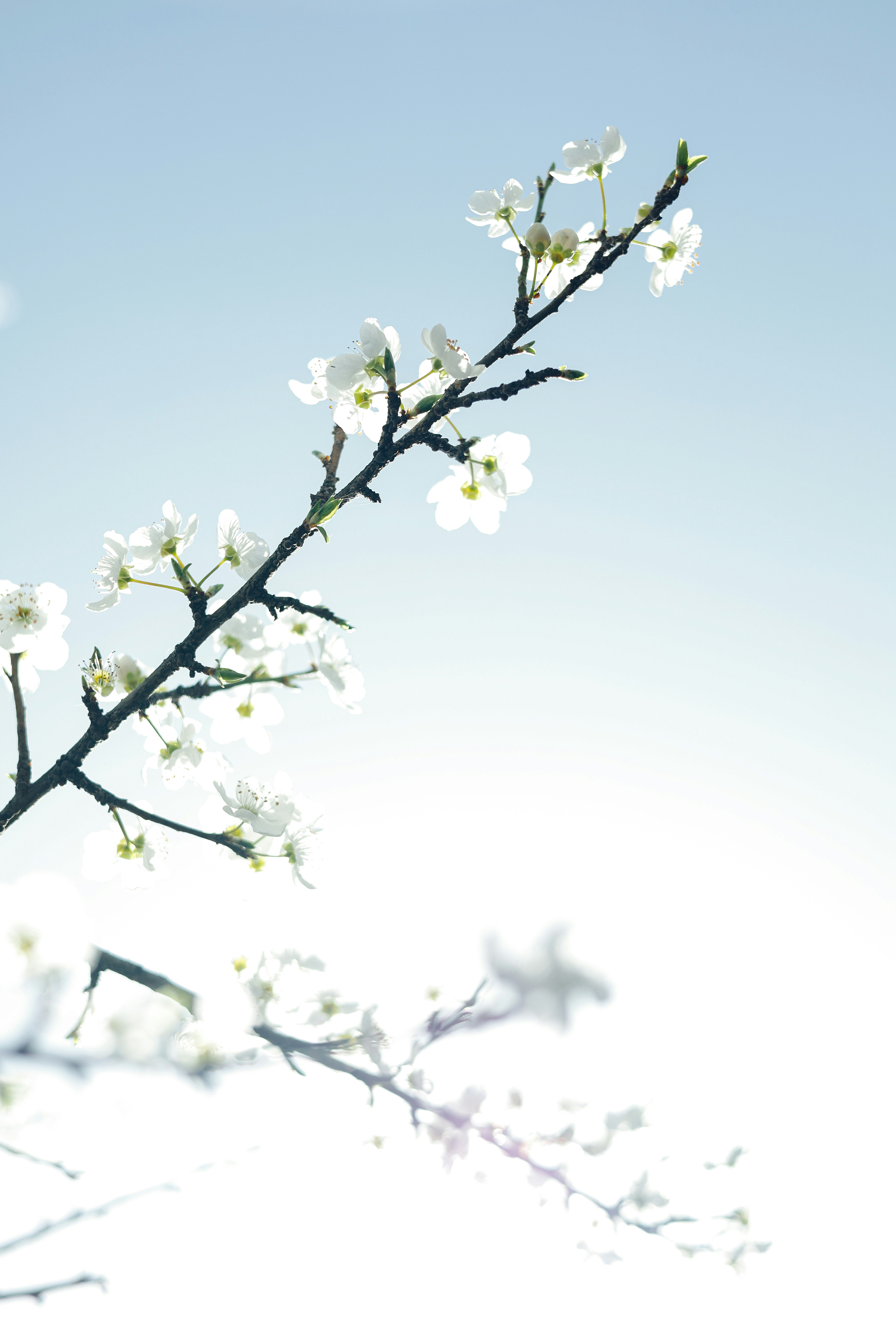 Photo by esrakorkmaz