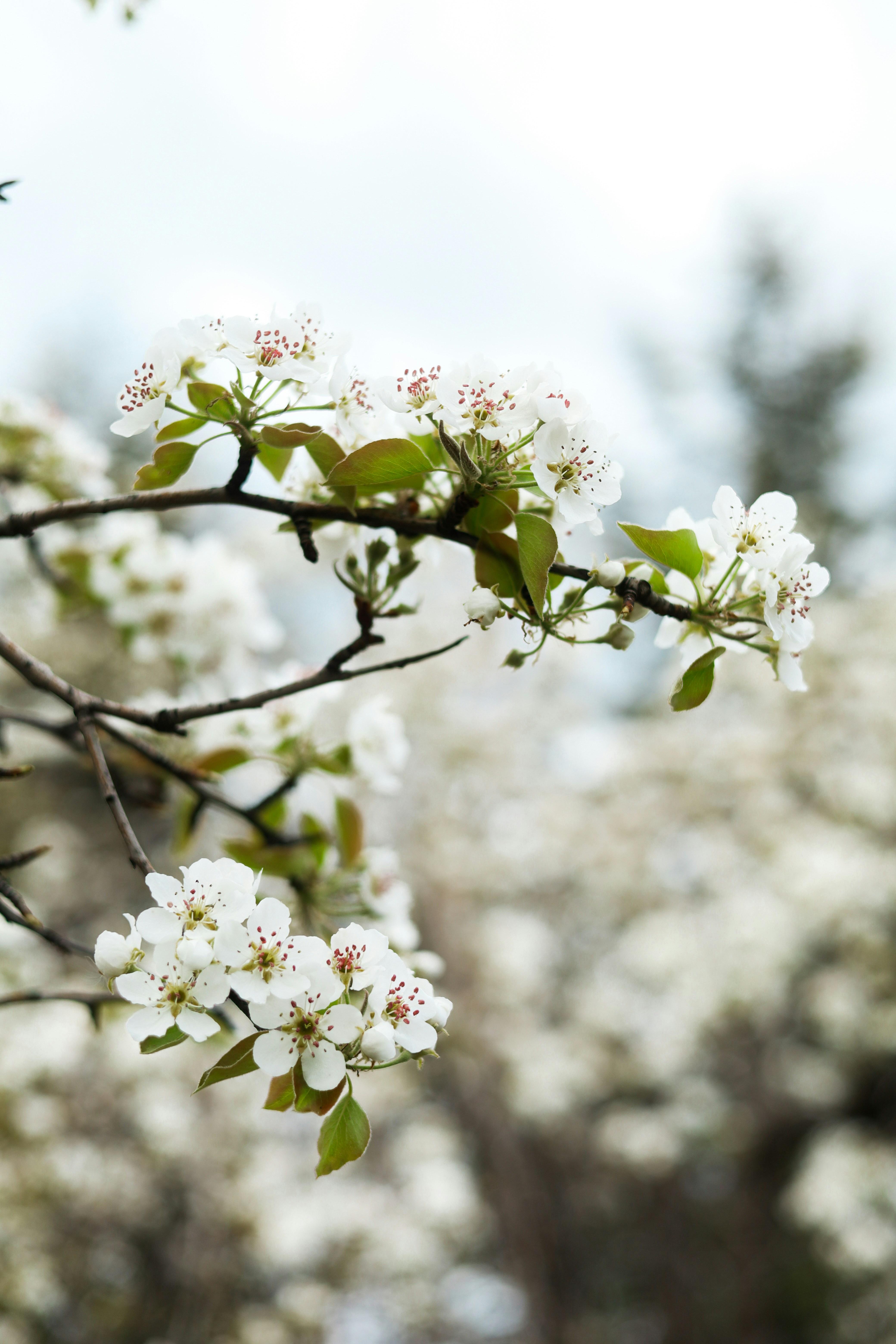 Photo by esrakorkmaz