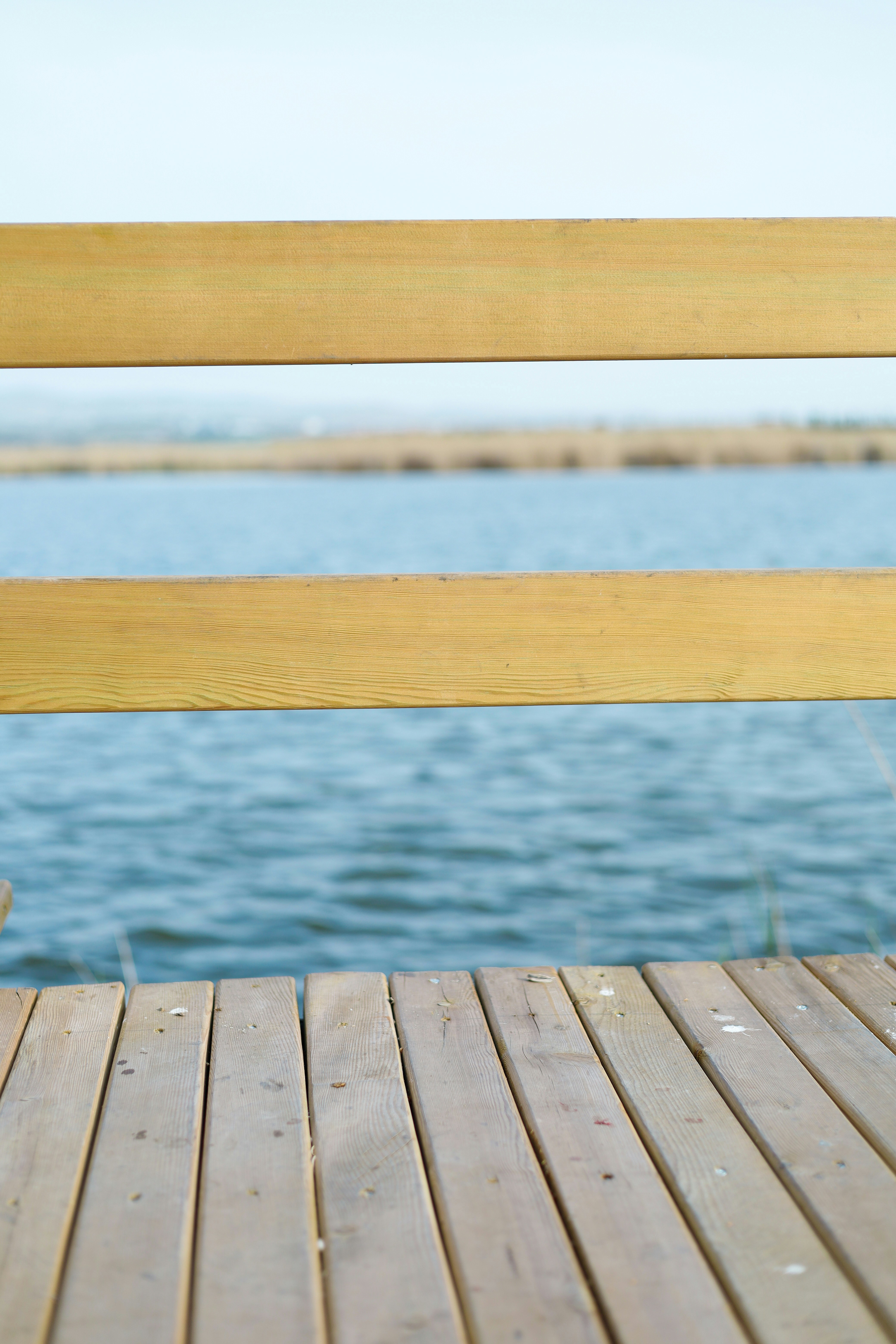 Photo by esrakorkmaz