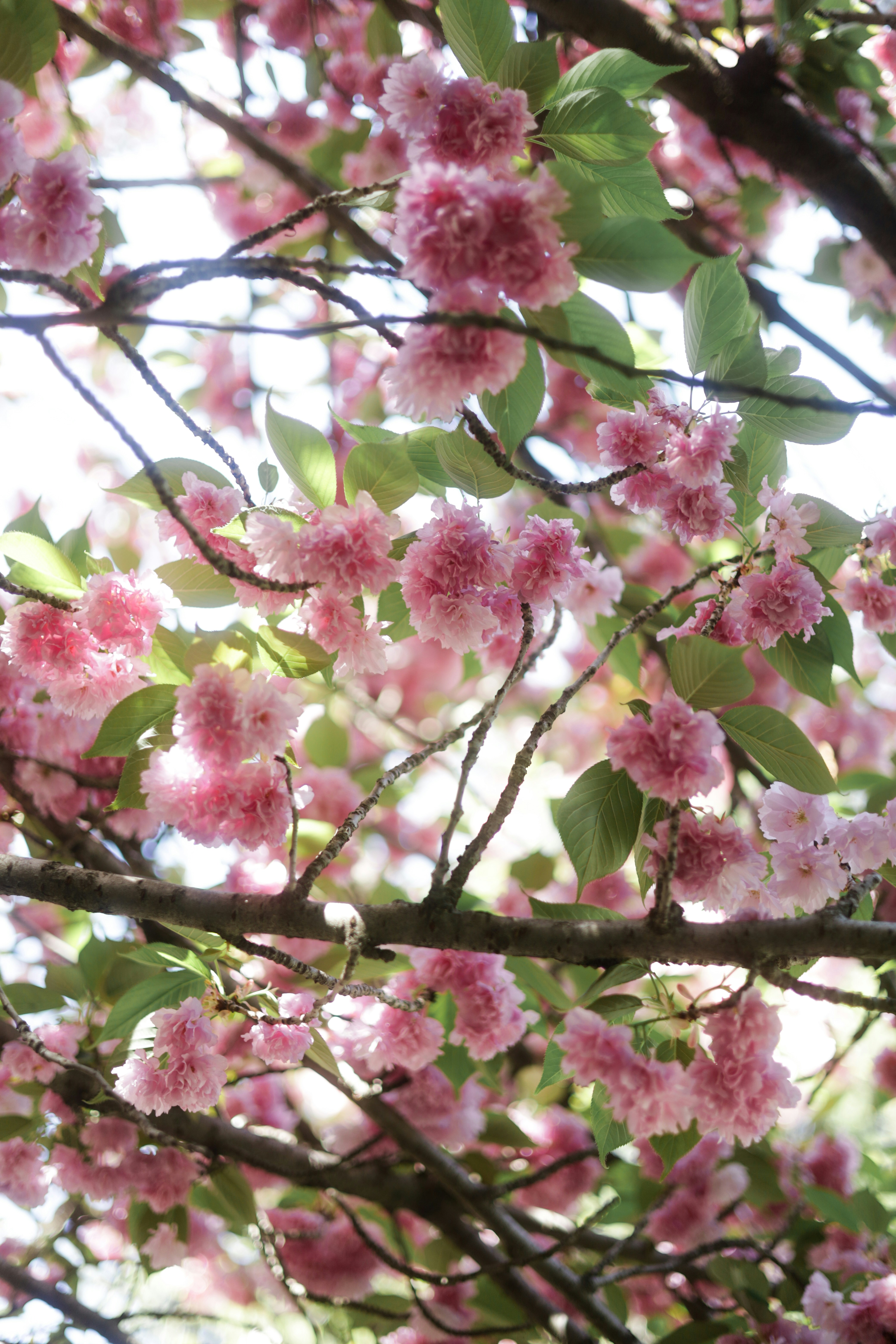 Photo by esrakorkmaz