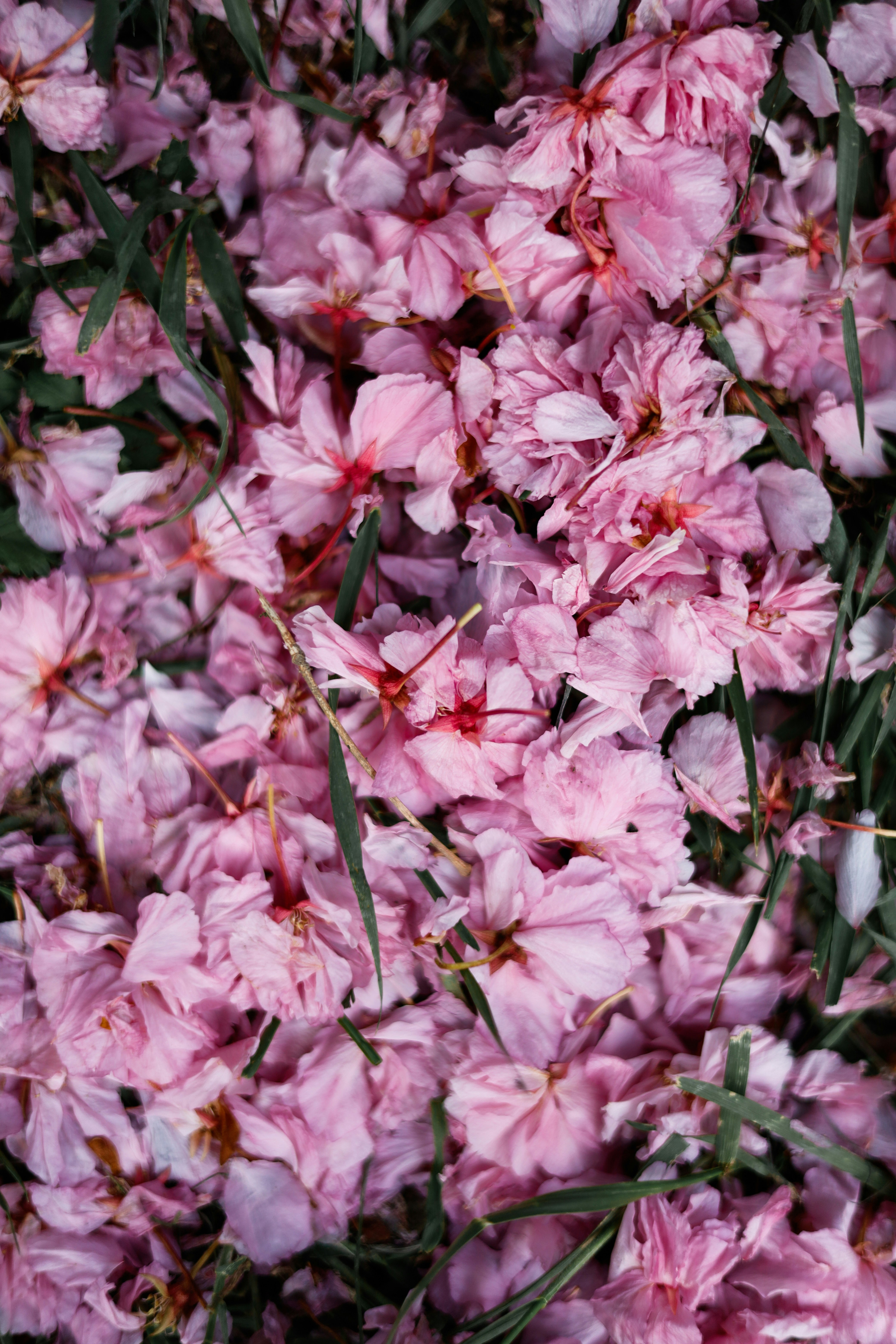 Photo by esrakorkmaz