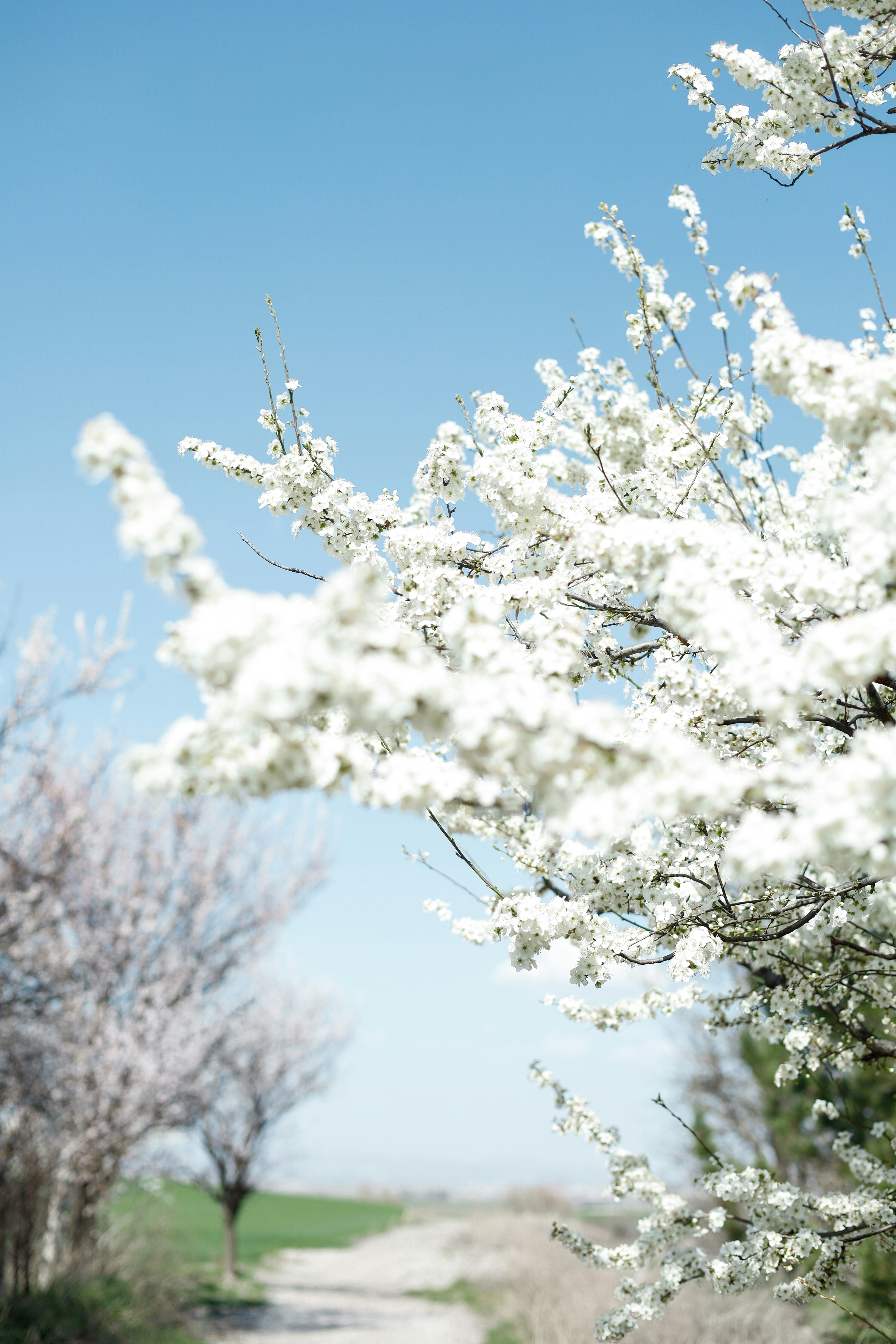 Photo by esrakorkmaz