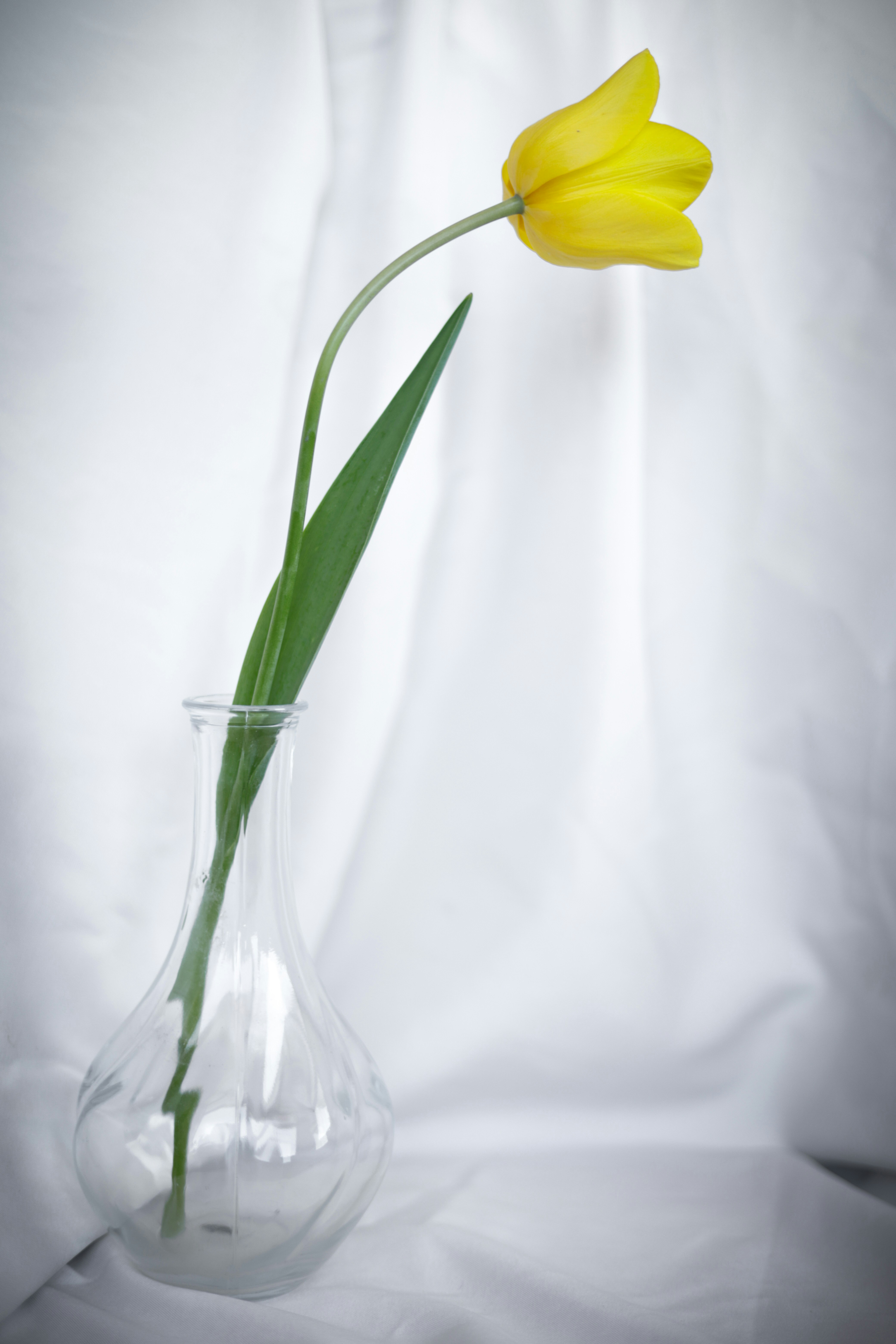 Photo by esrakorkmaz