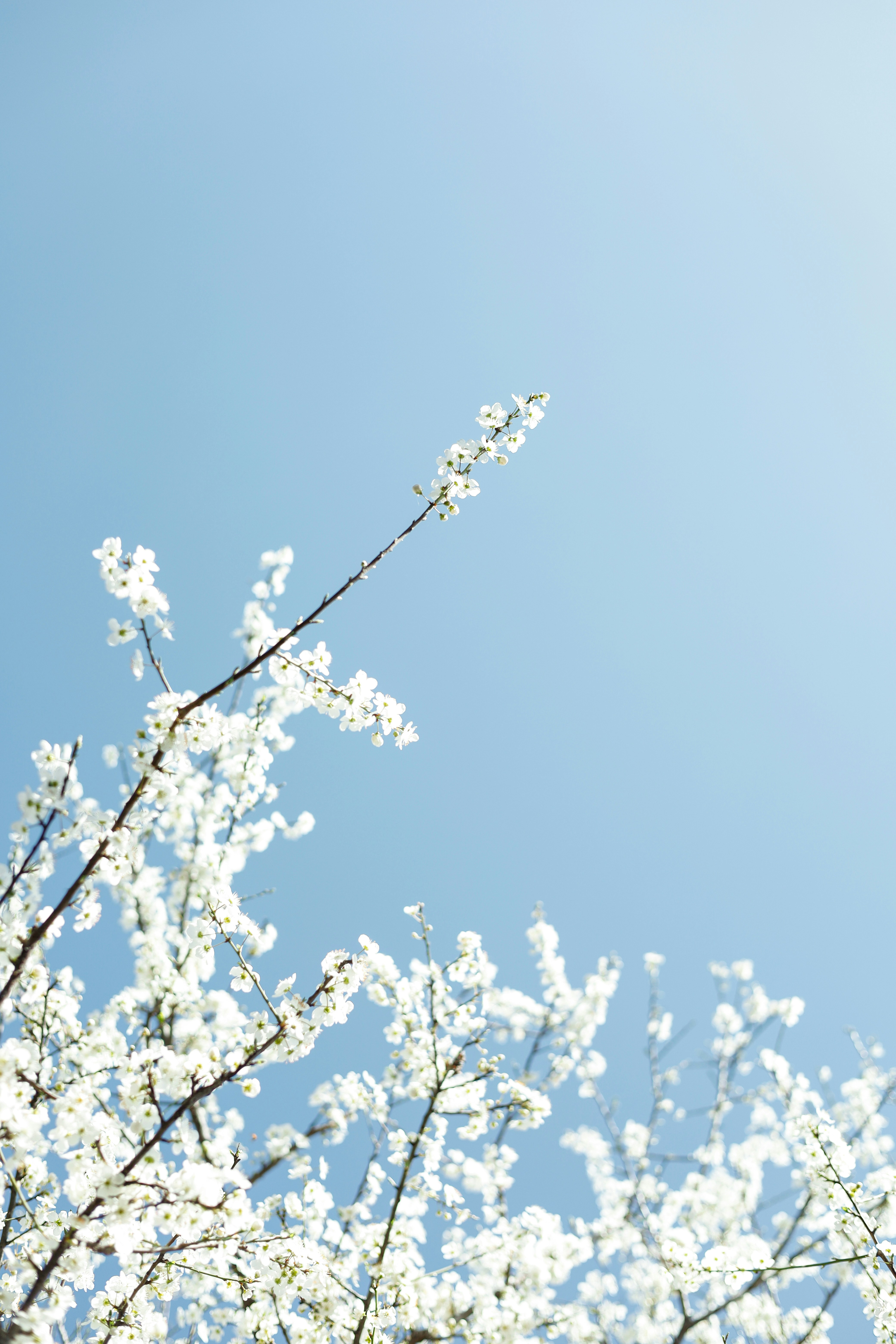 Photo by esrakorkmaz