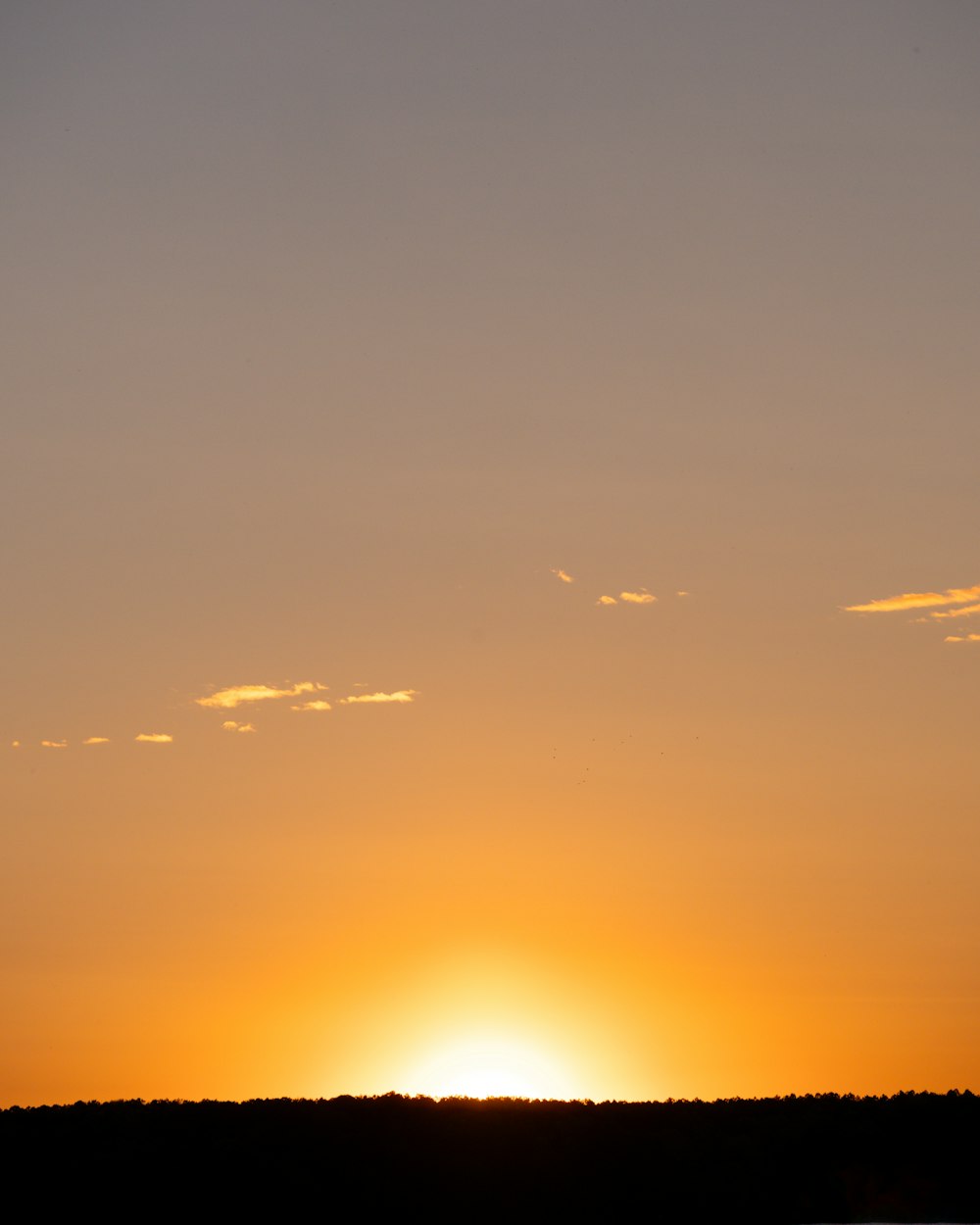 a person is flying a kite at sunset