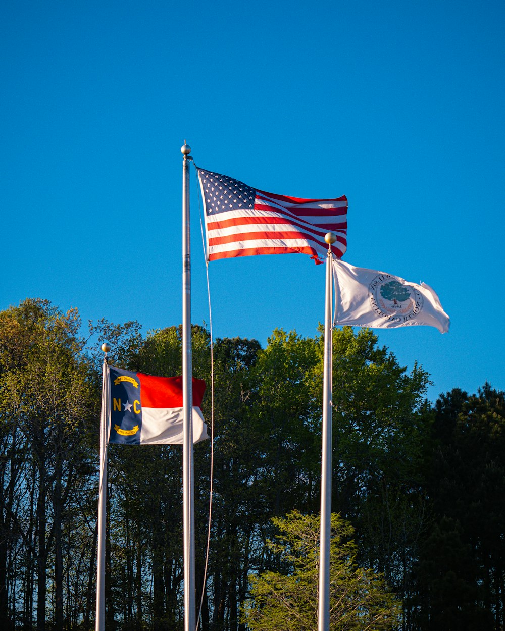 a group of flags flying in the wind