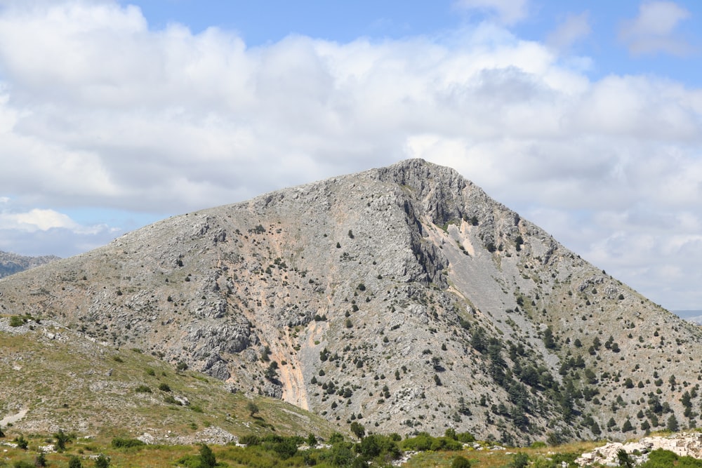 a large mountain with a few trees on it