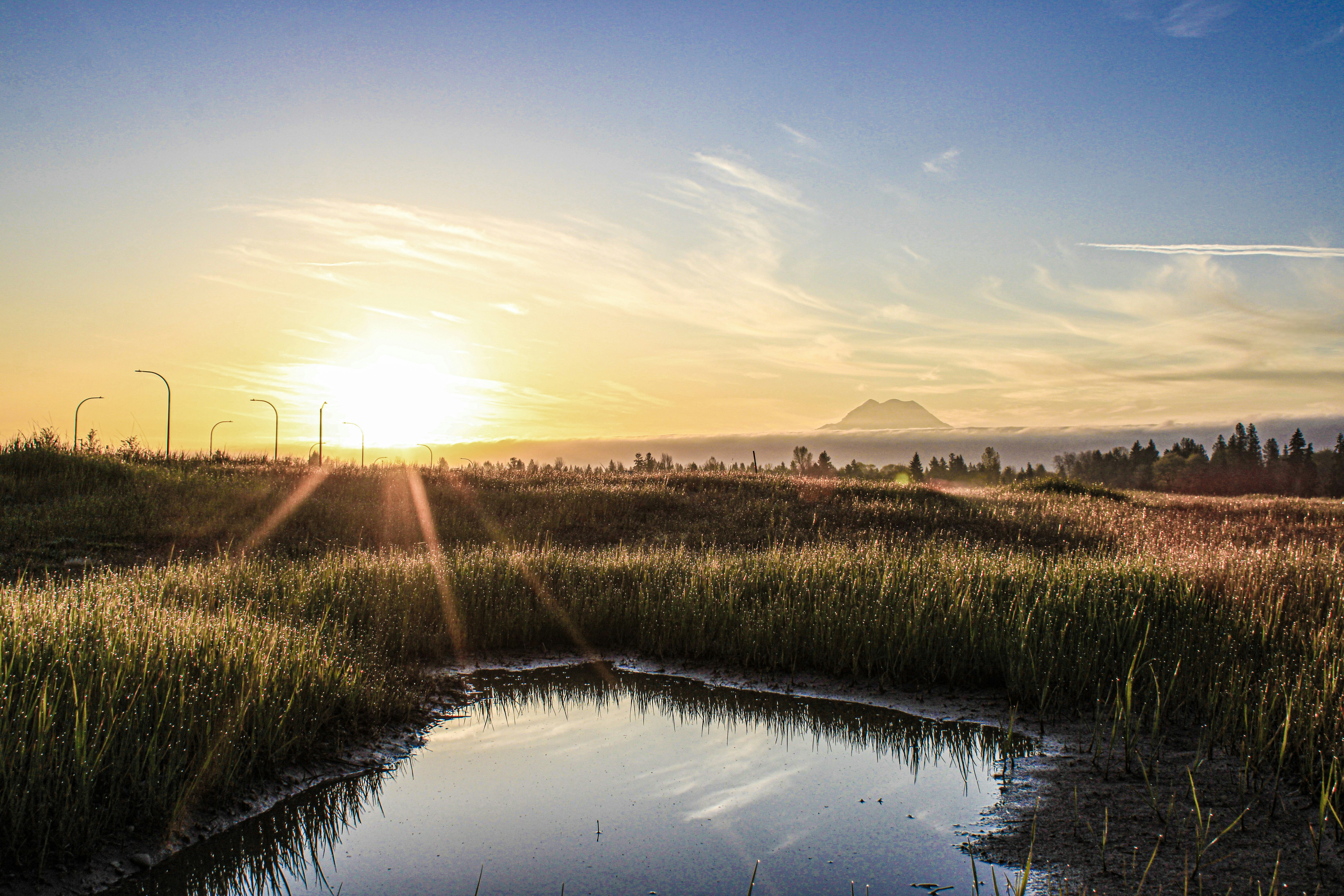 Photo by prphotography262