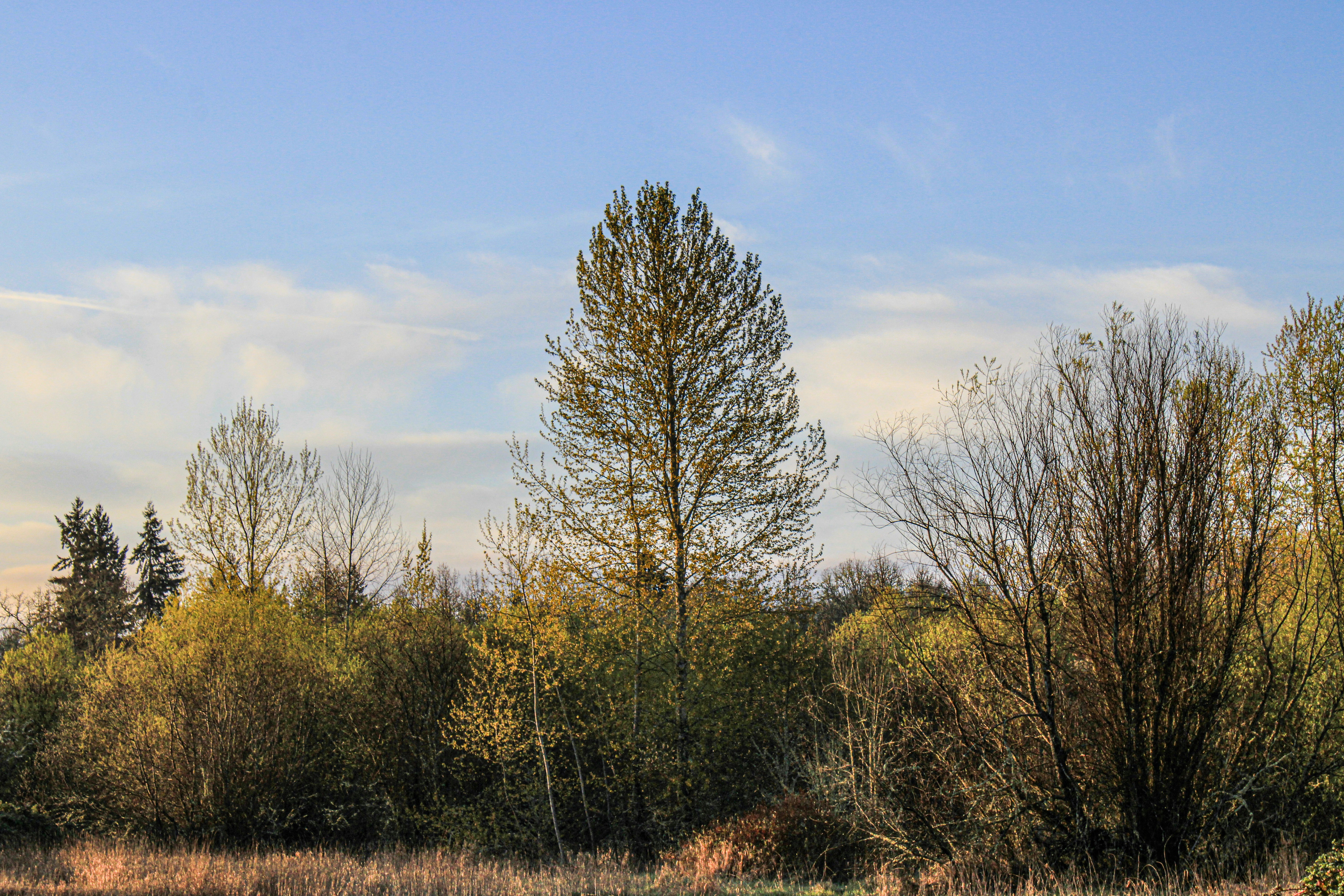 Photo by prphotography262