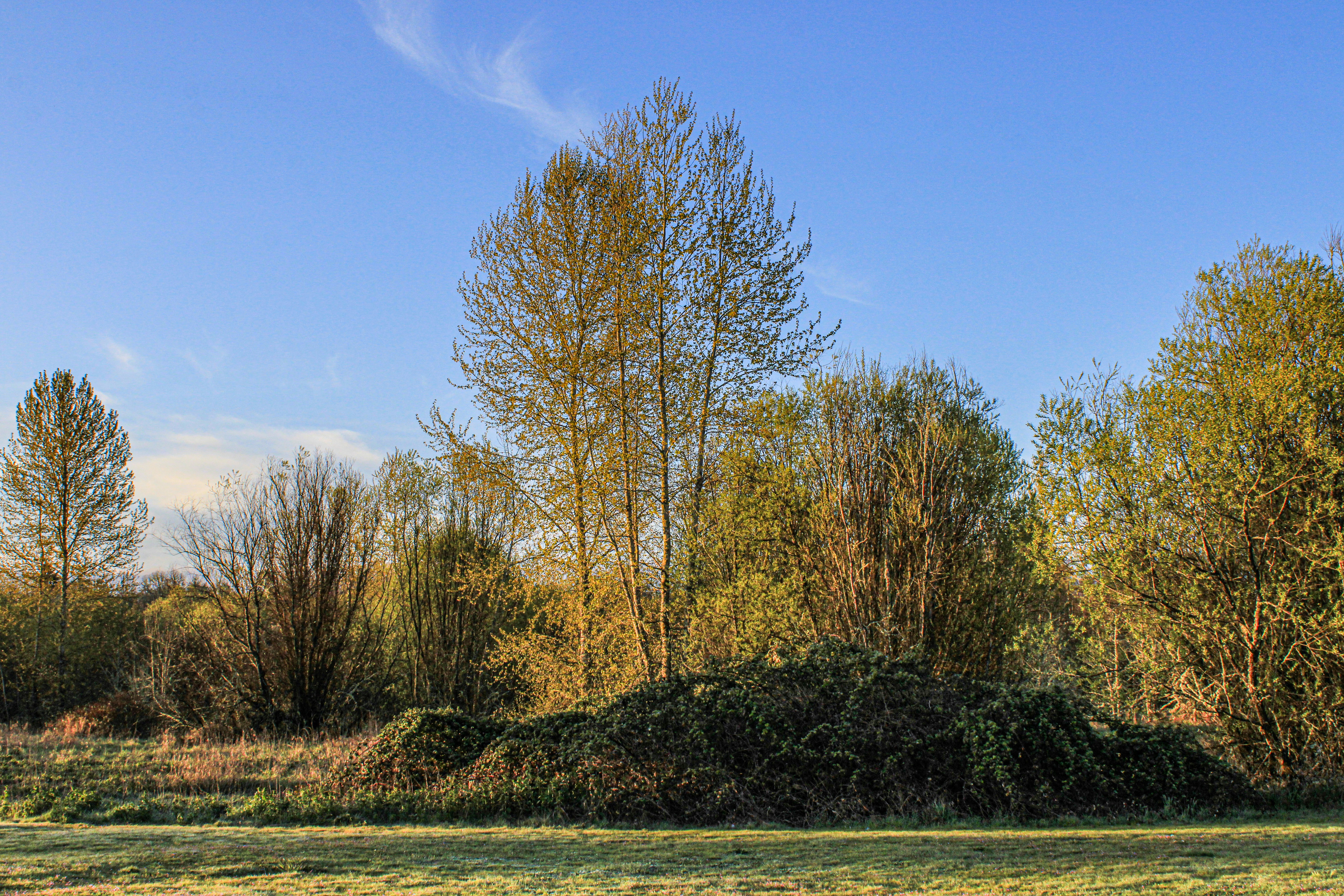 Photo by prphotography262