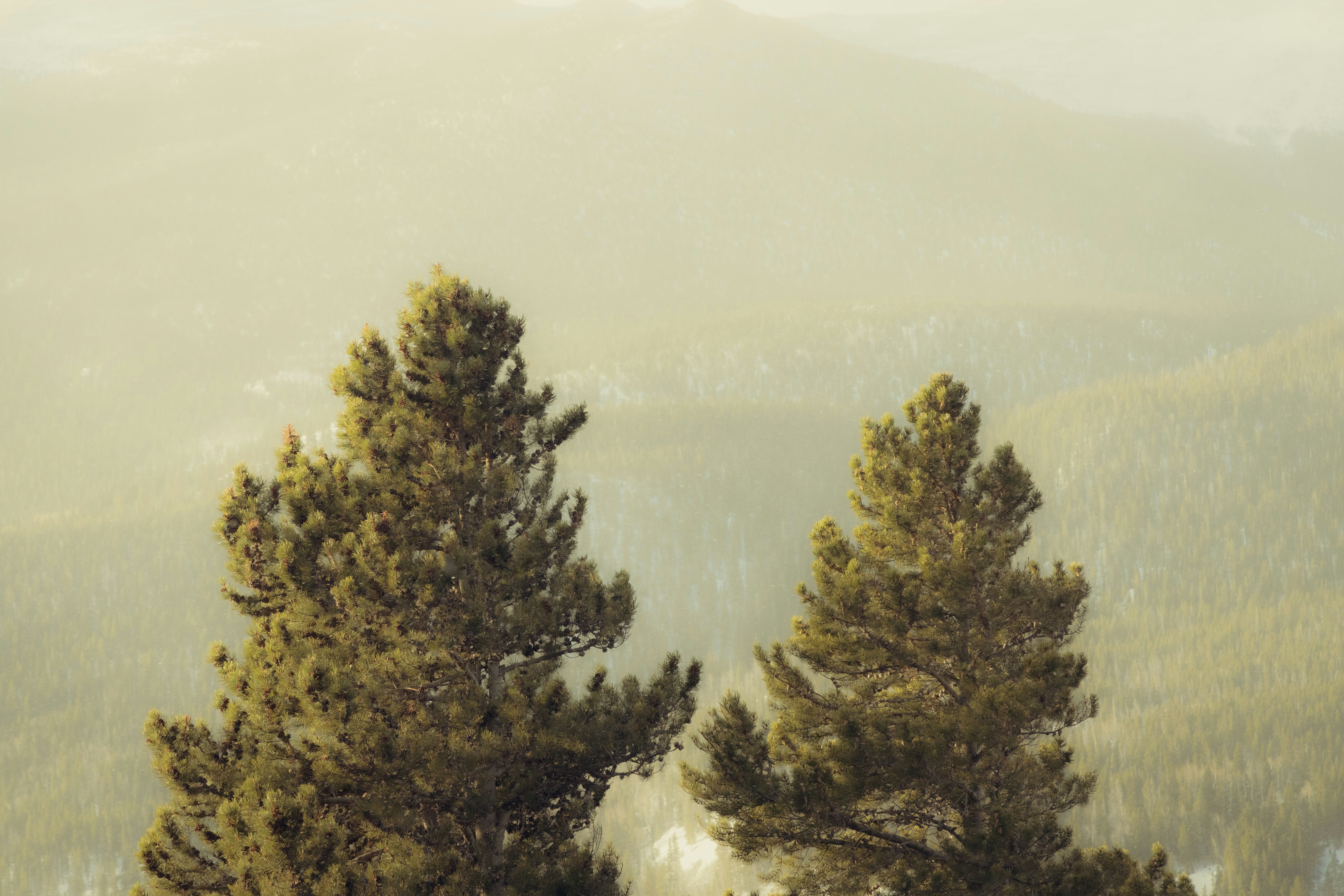 Photo by ldpeterson11