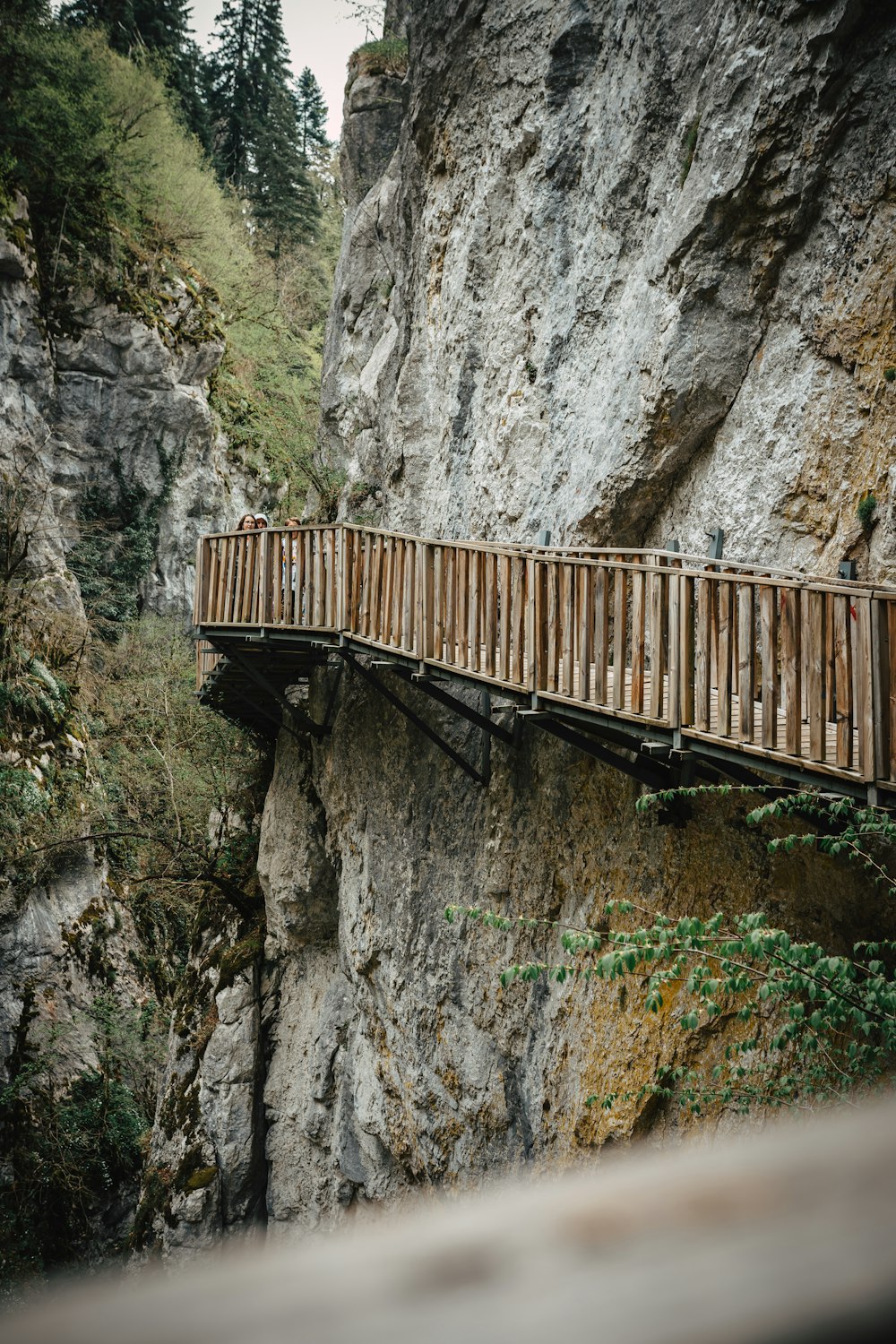 a wooden bridge over a canyon with a cliff in the background