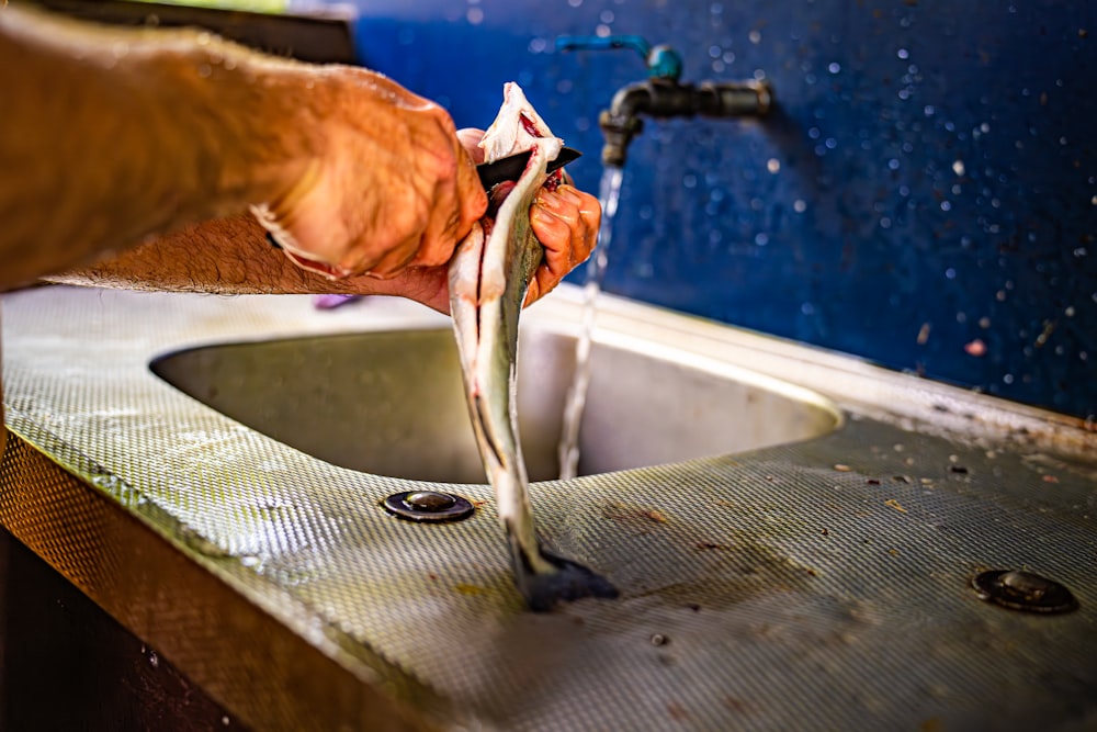 a person is washing a fish in a sink