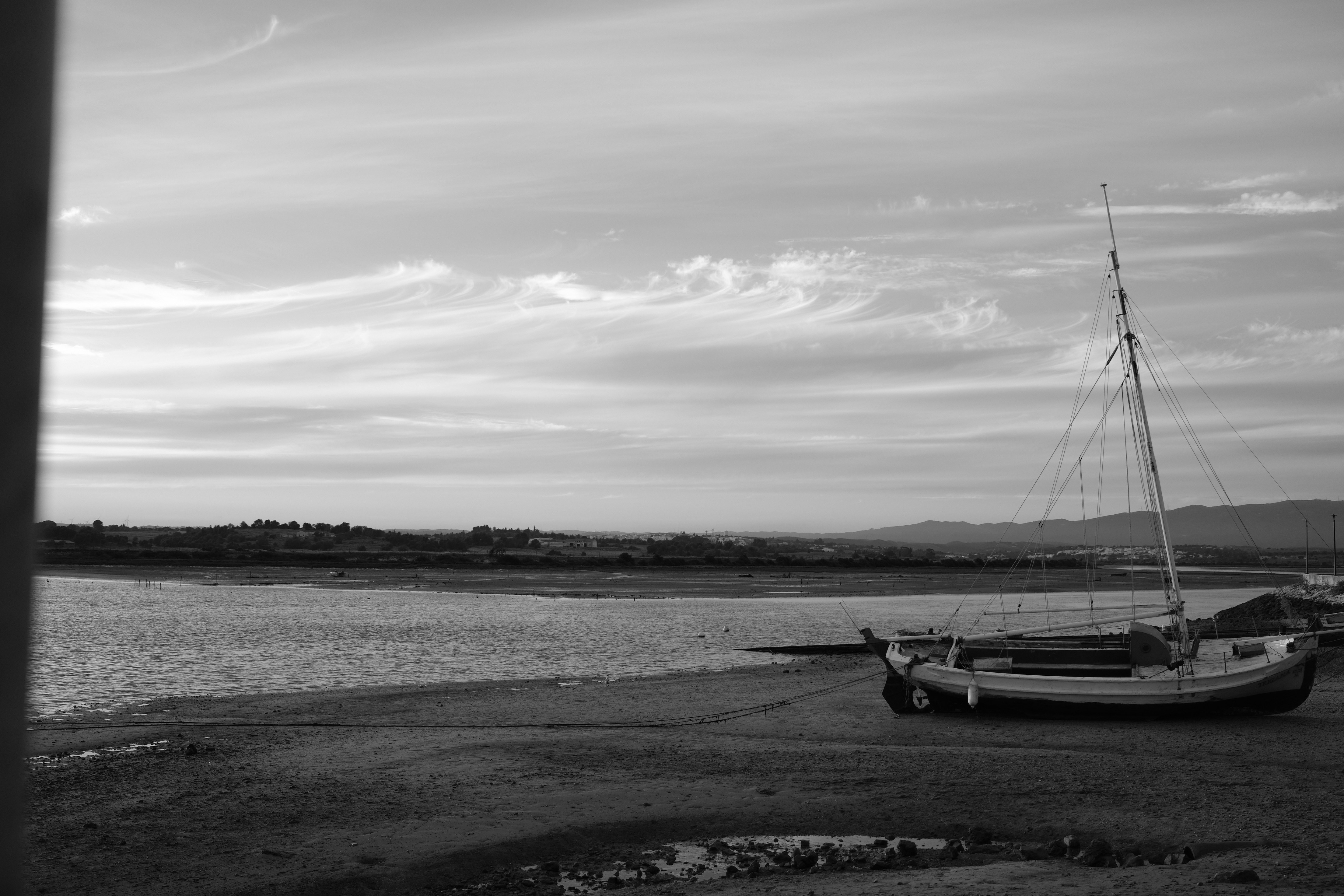 Photo by lucavolpe