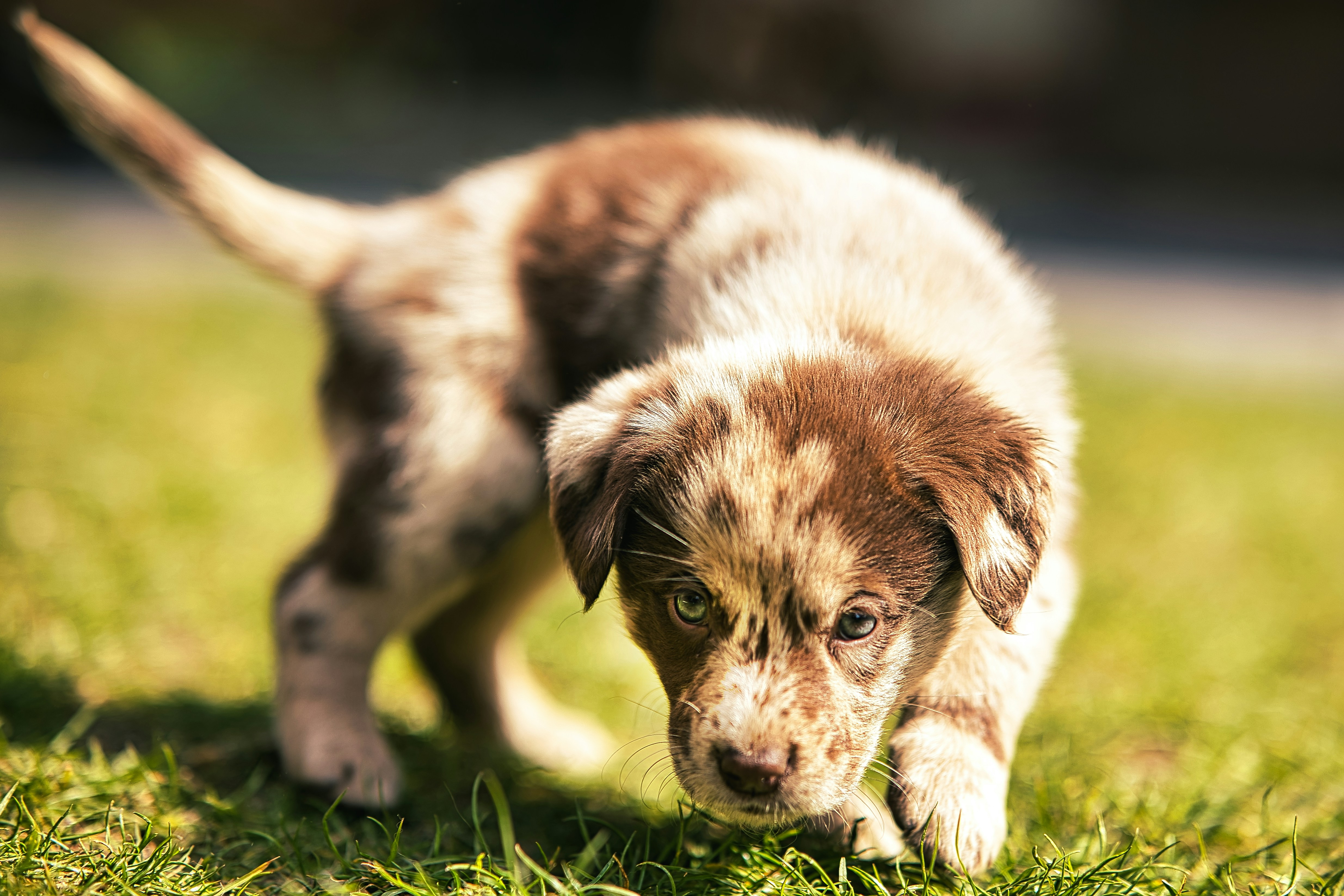 Photo by lautgeknipst