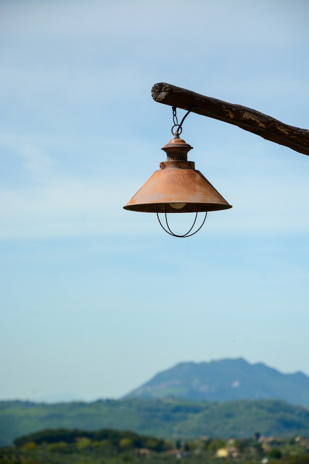 a bell hanging from a tree branch with a mountain in the background