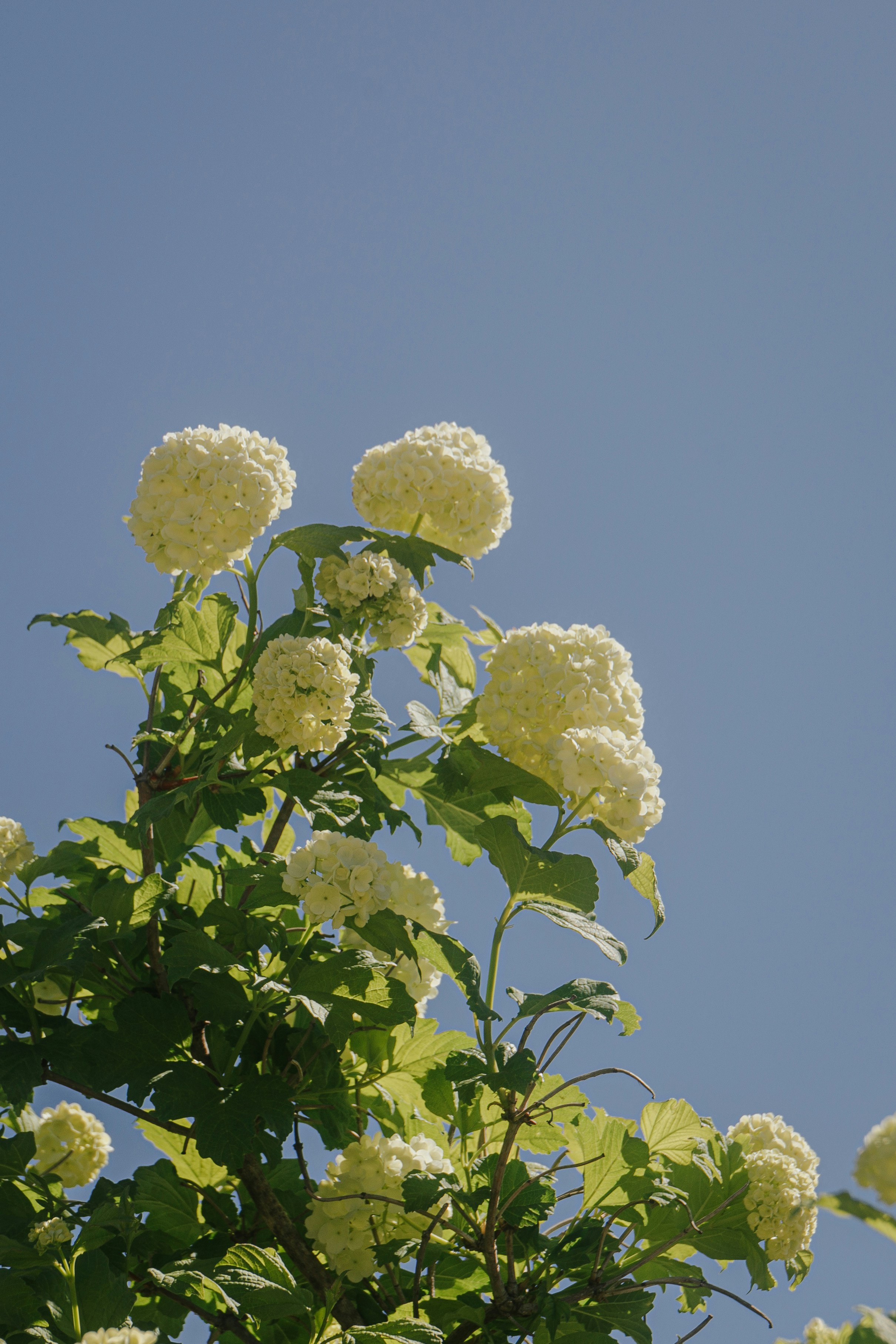 Photo by mariasolponce