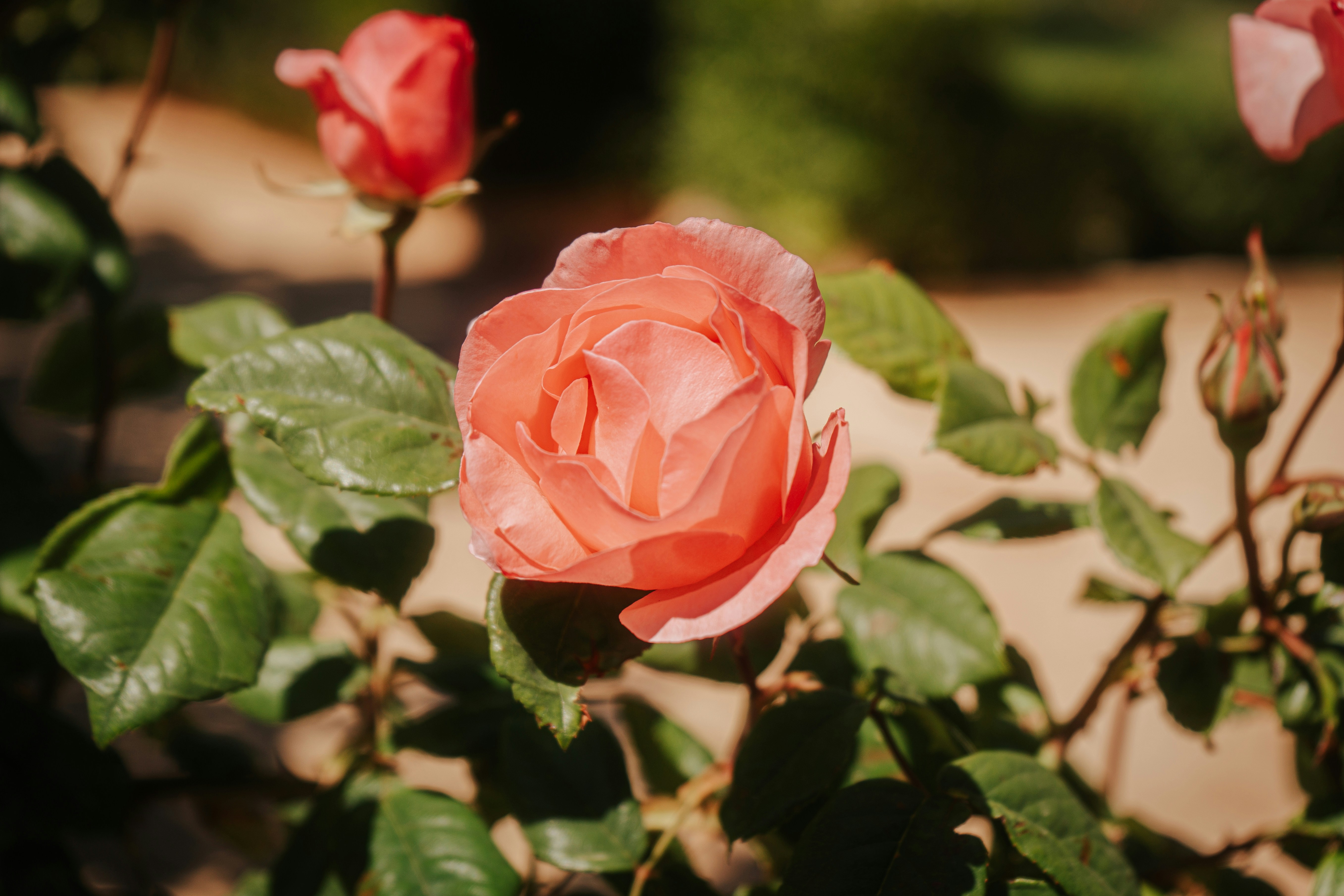 Photo by mariasolponce