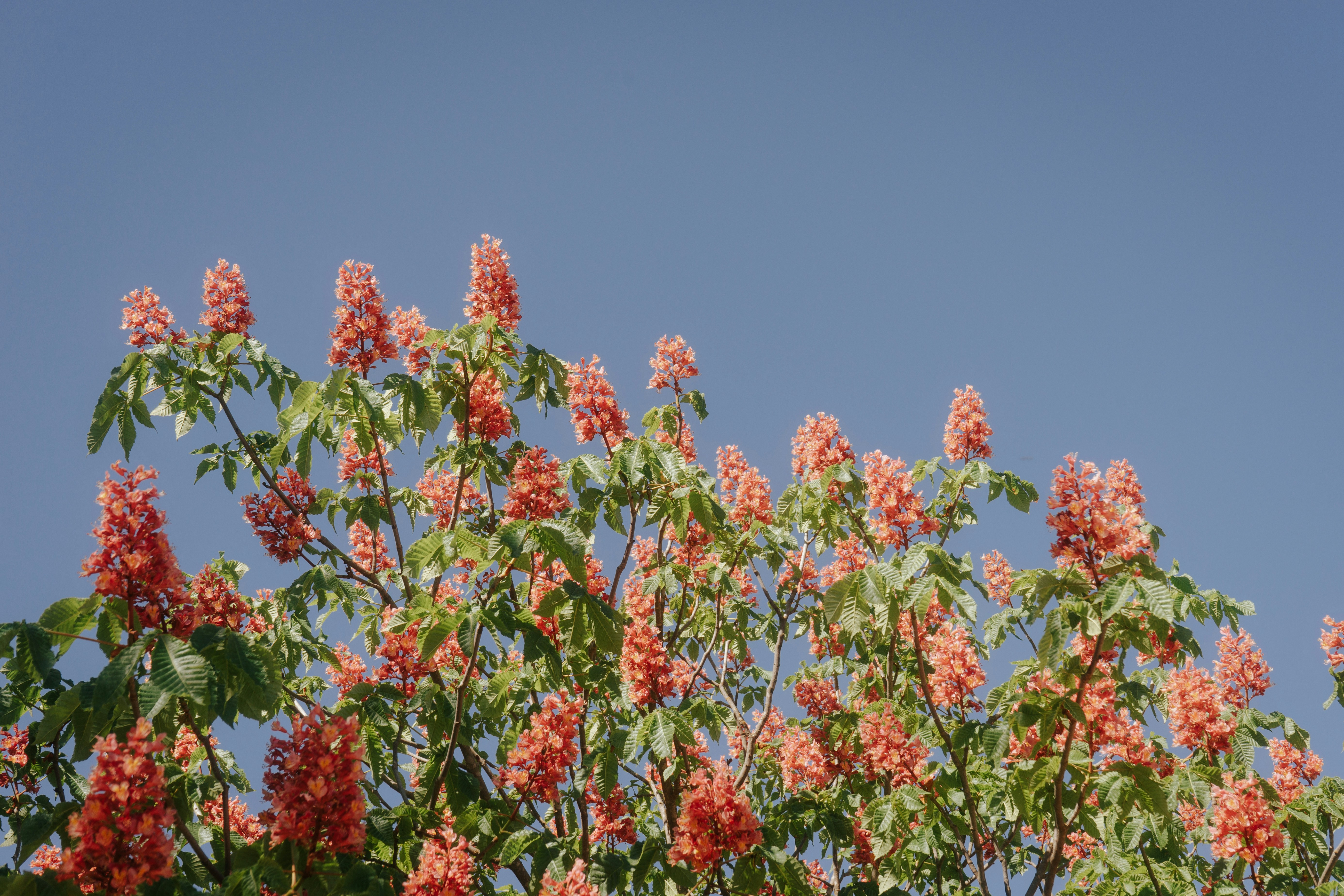 Photo by mariasolponce