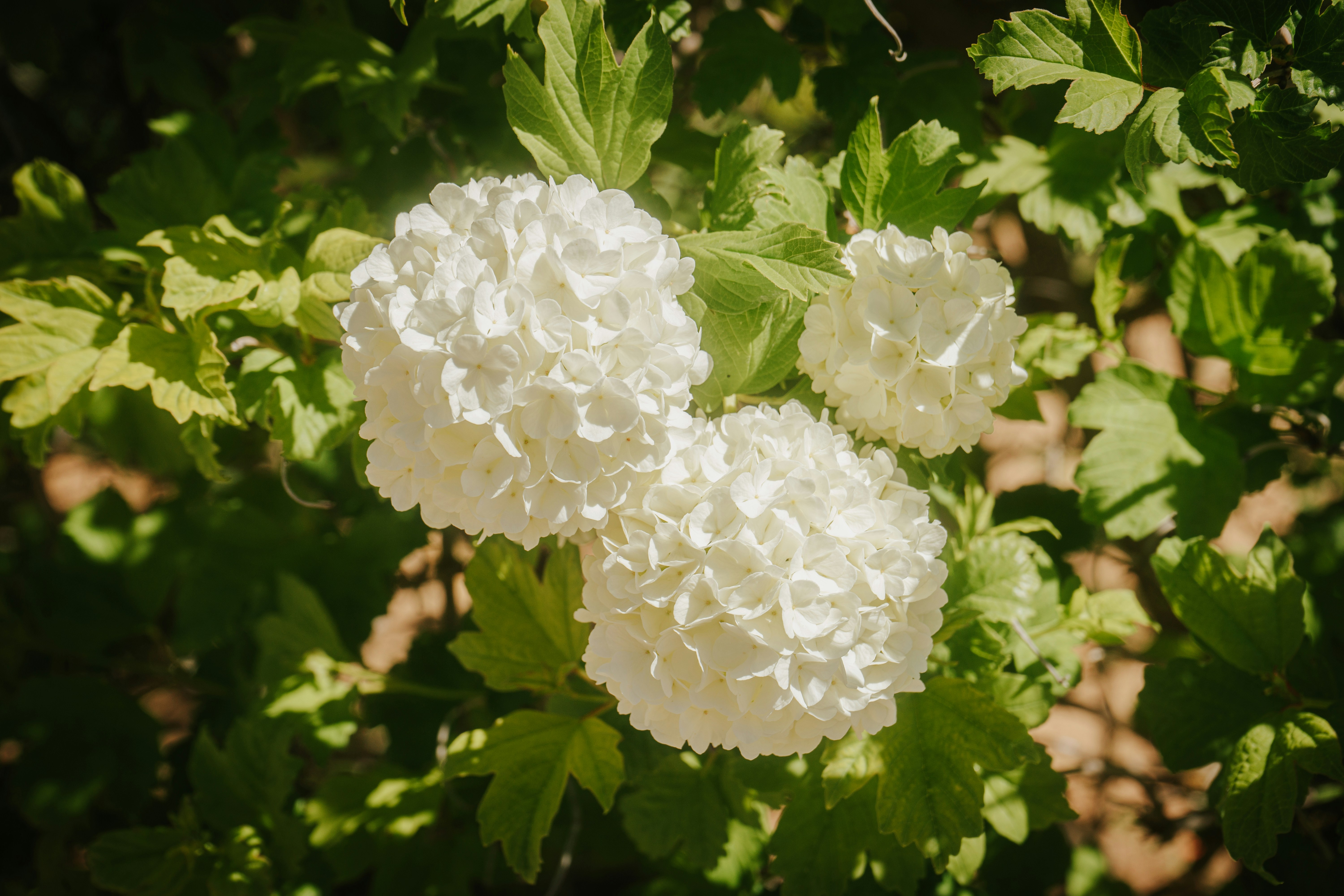 Photo by mariasolponce