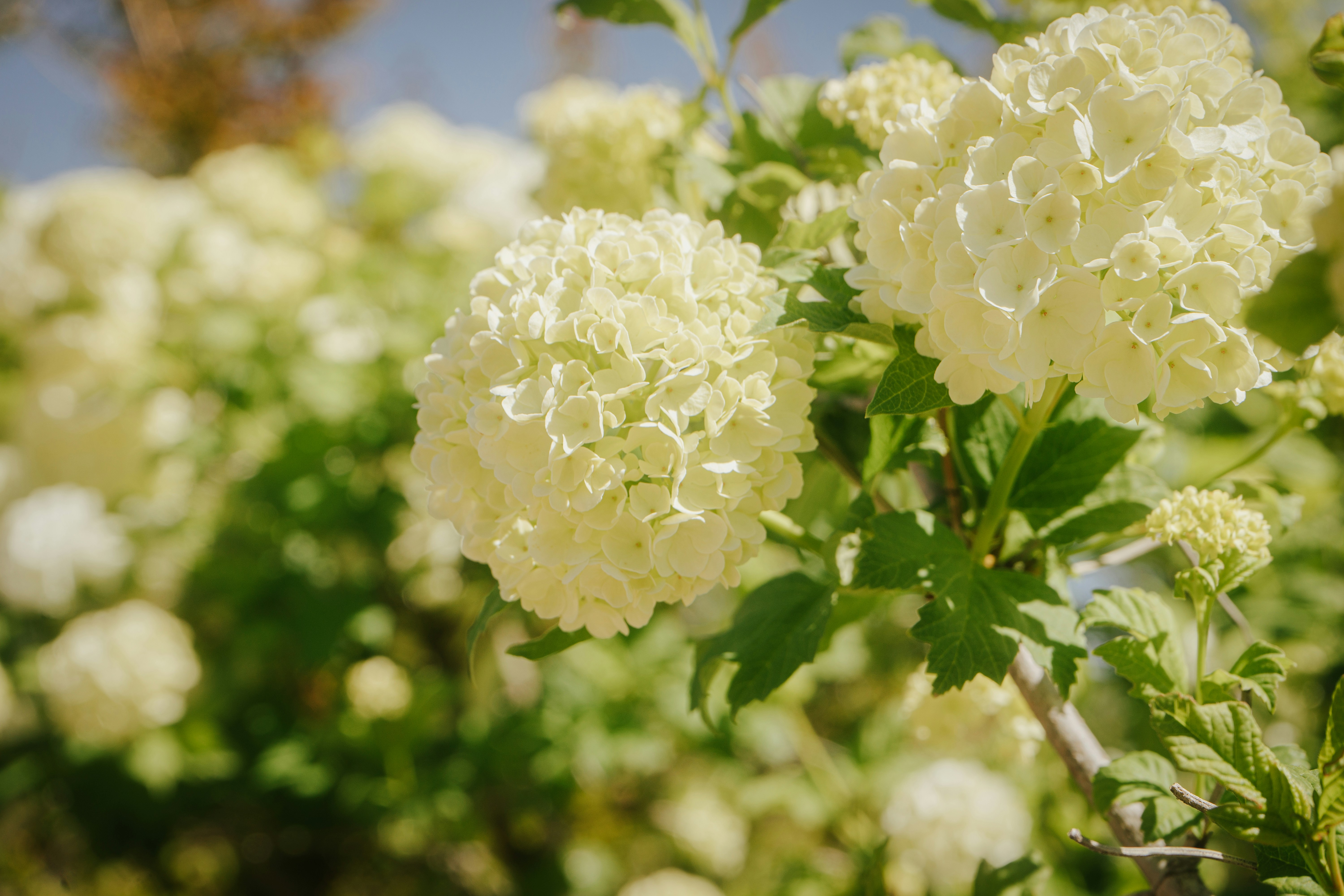 Photo by mariasolponce