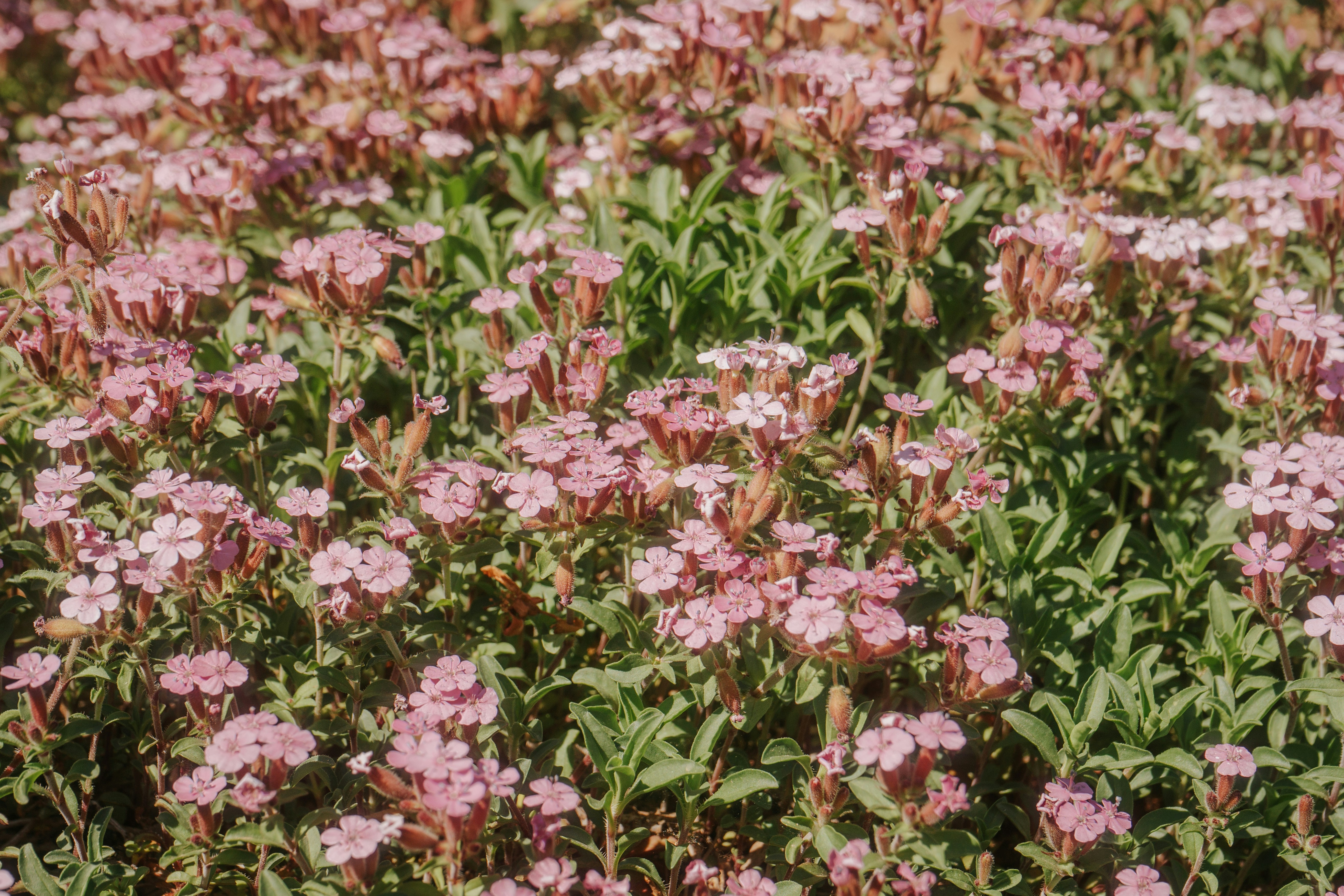 Photo by mariasolponce