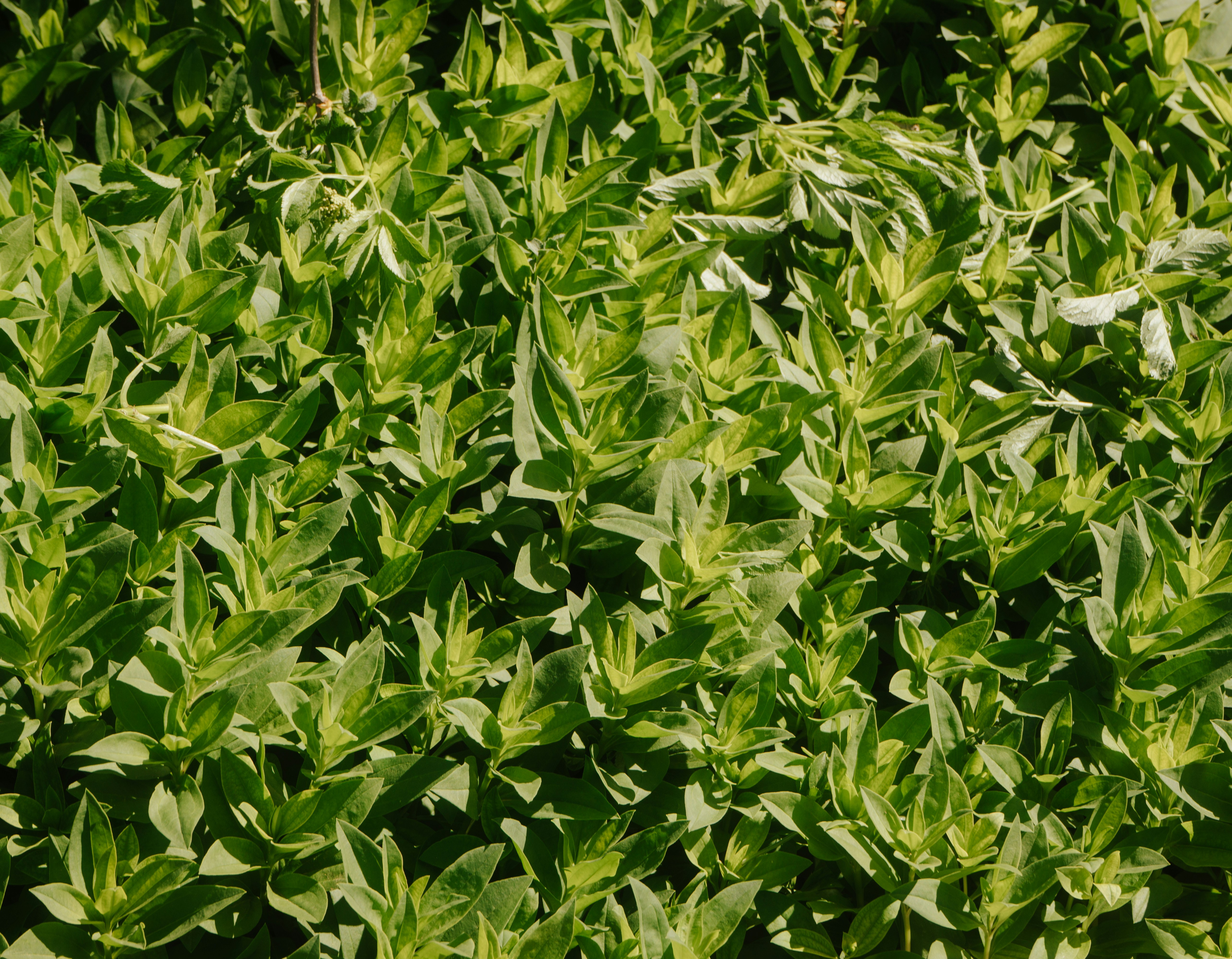 Photo by mariasolponce