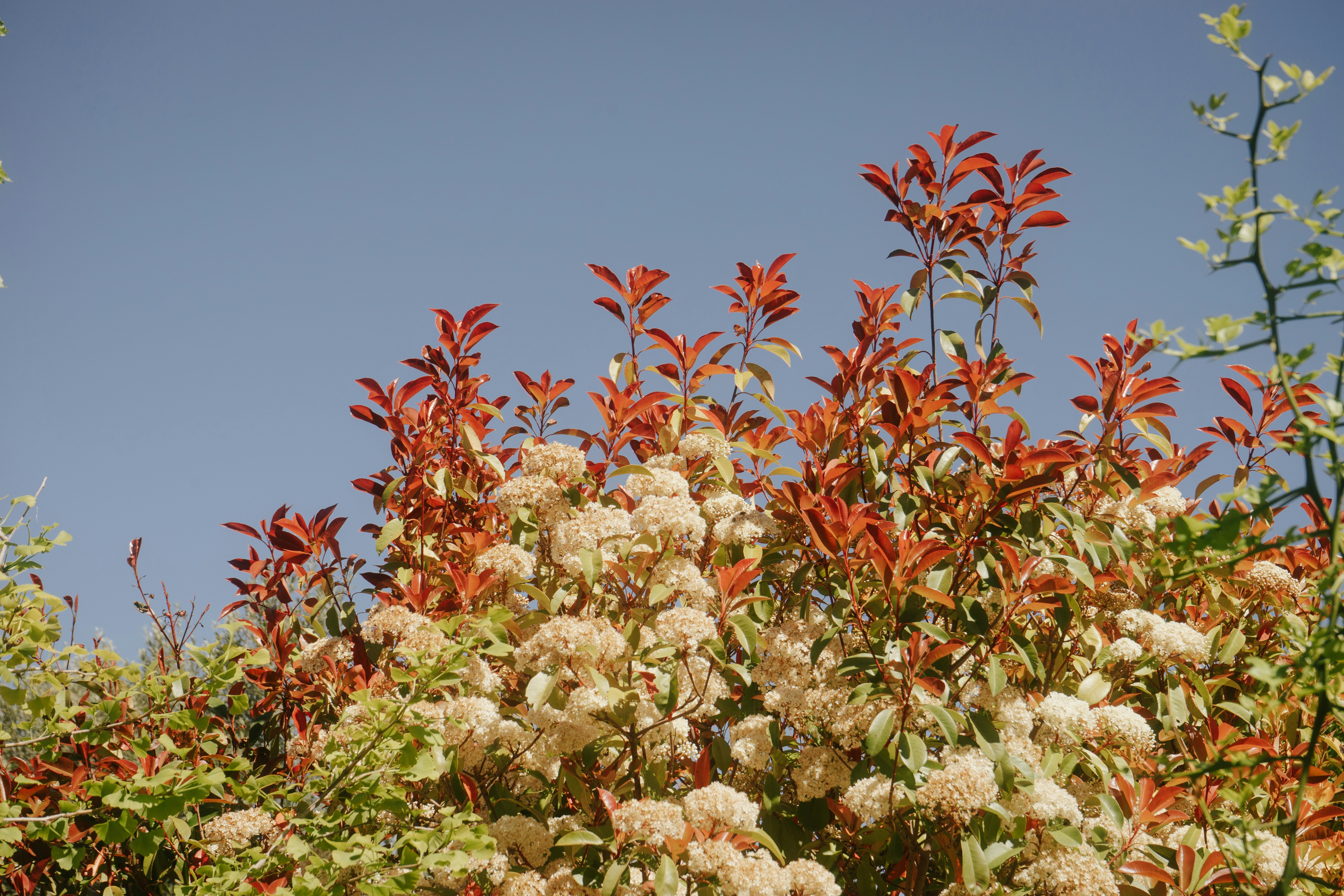 Photo by mariasolponce