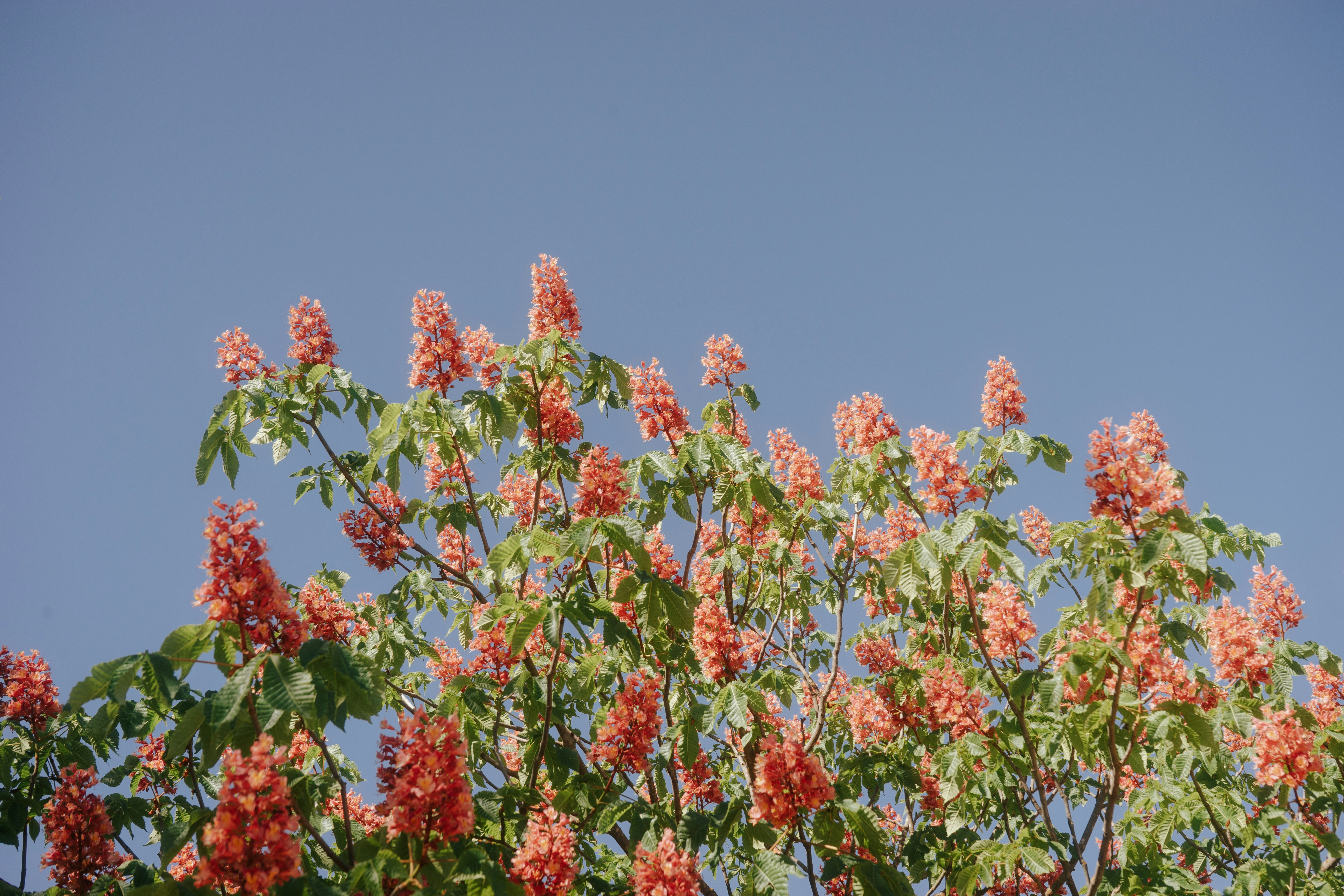 Photo by mariasolponce