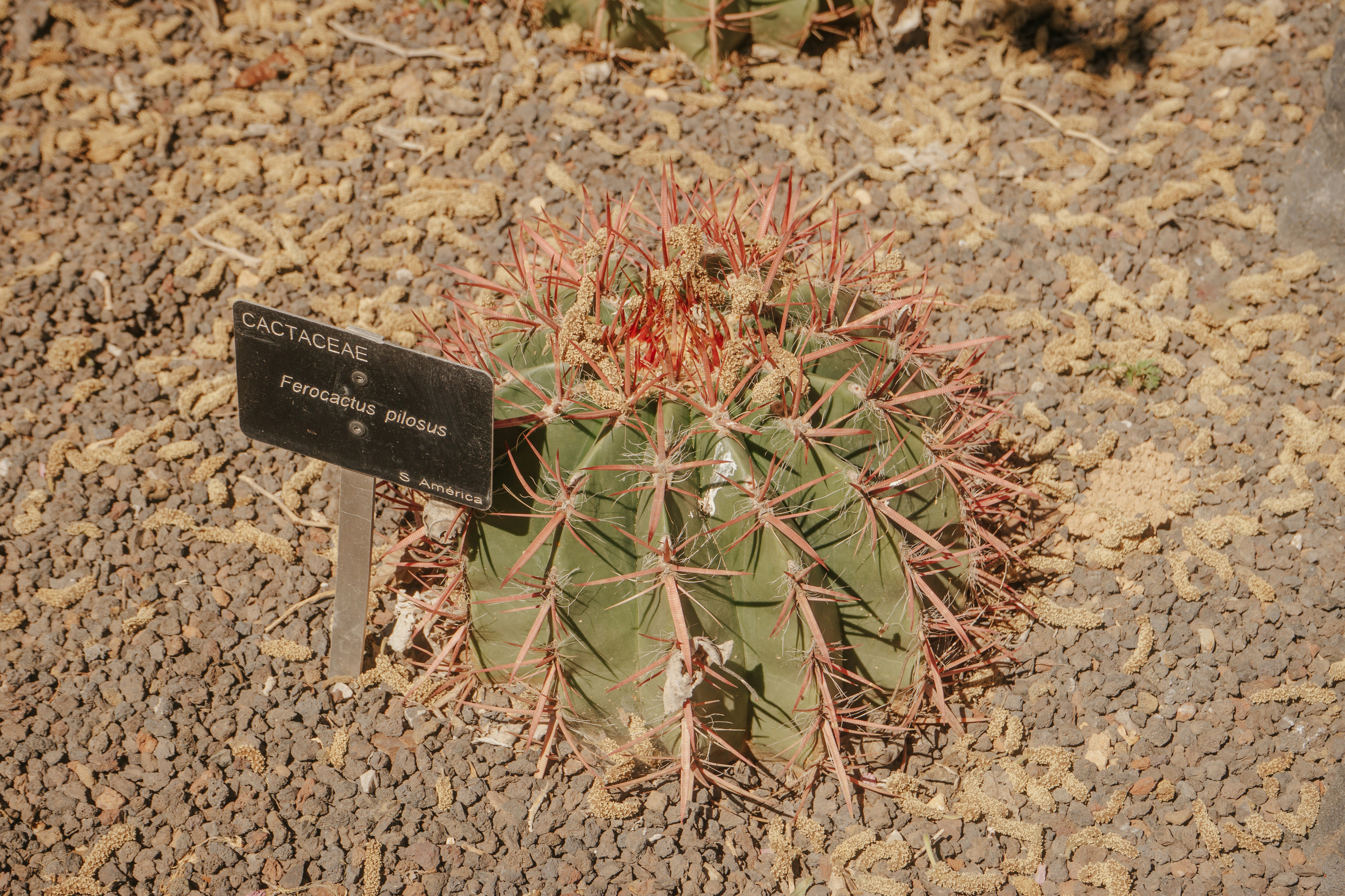 Photo by mariasolponce