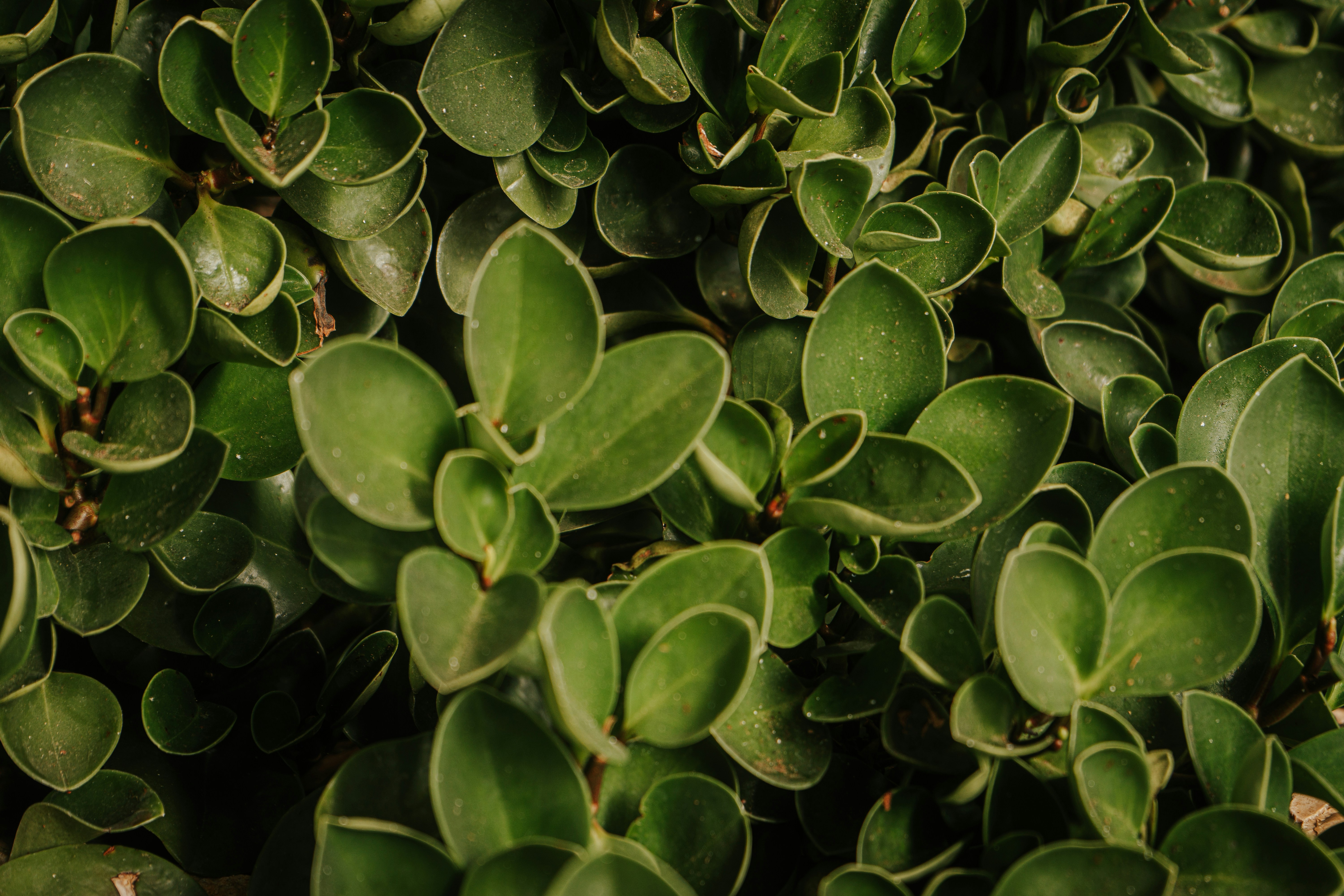 Photo by mariasolponce