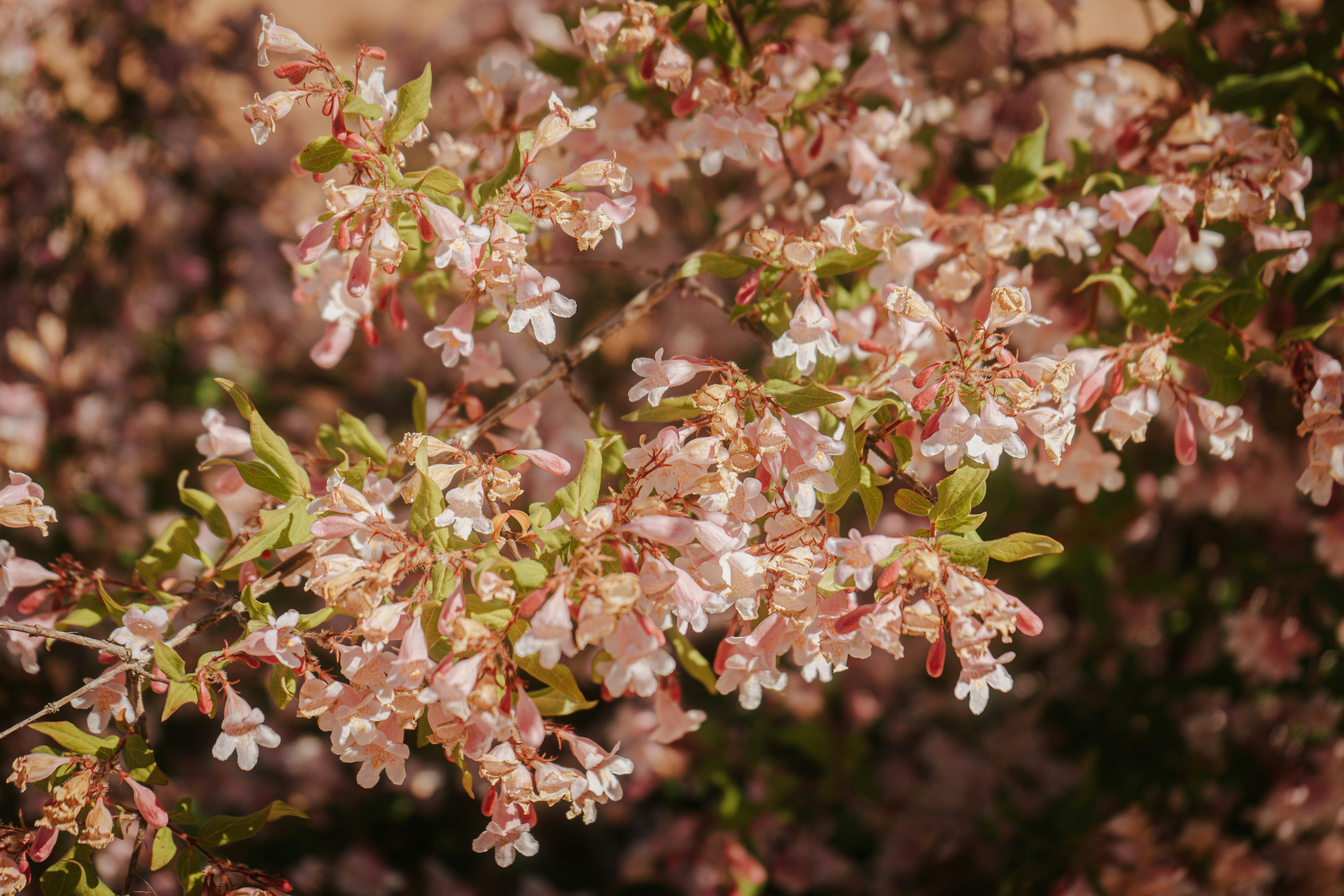 Photo by mariasolponce