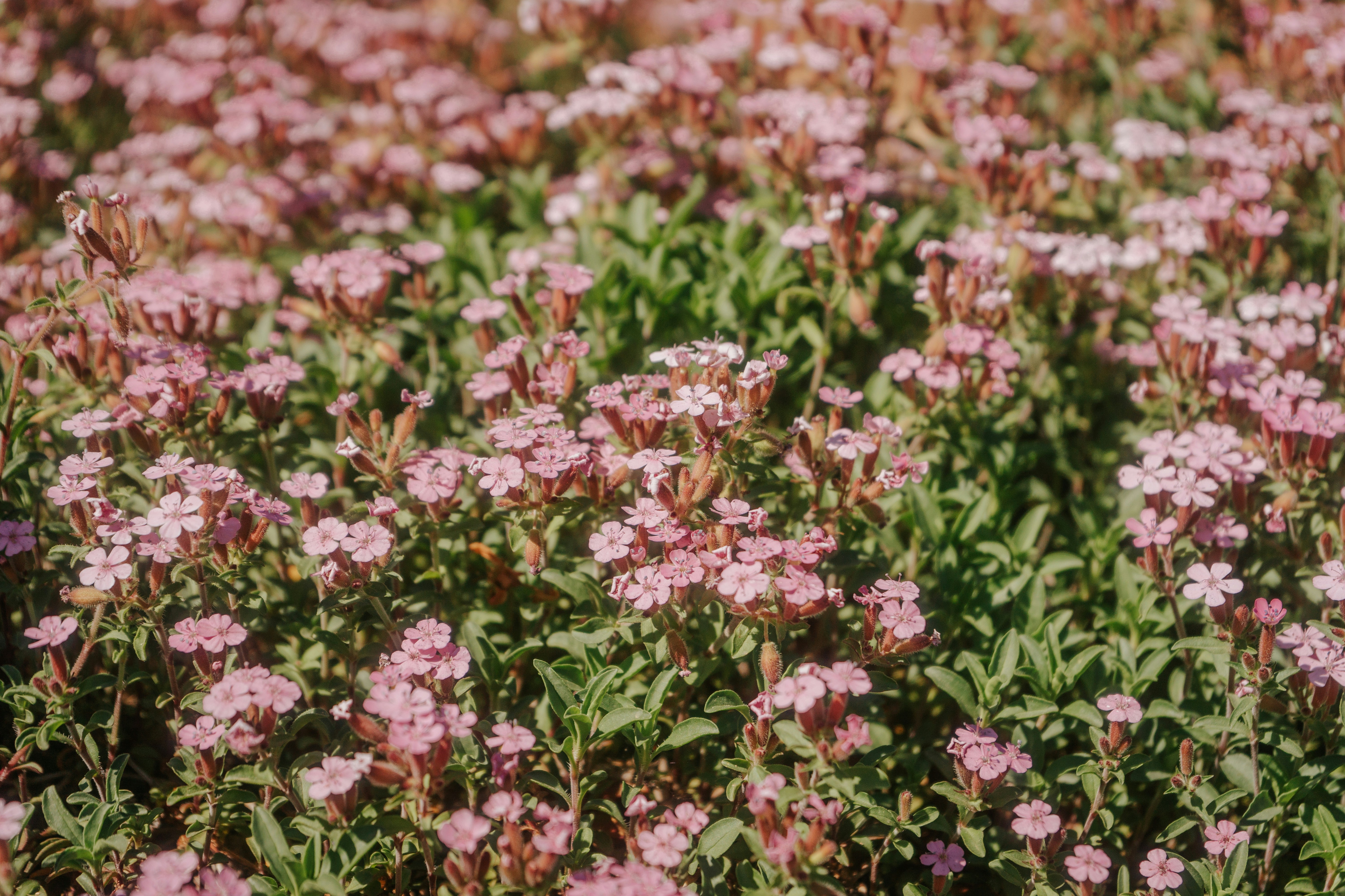 Photo by mariasolponce