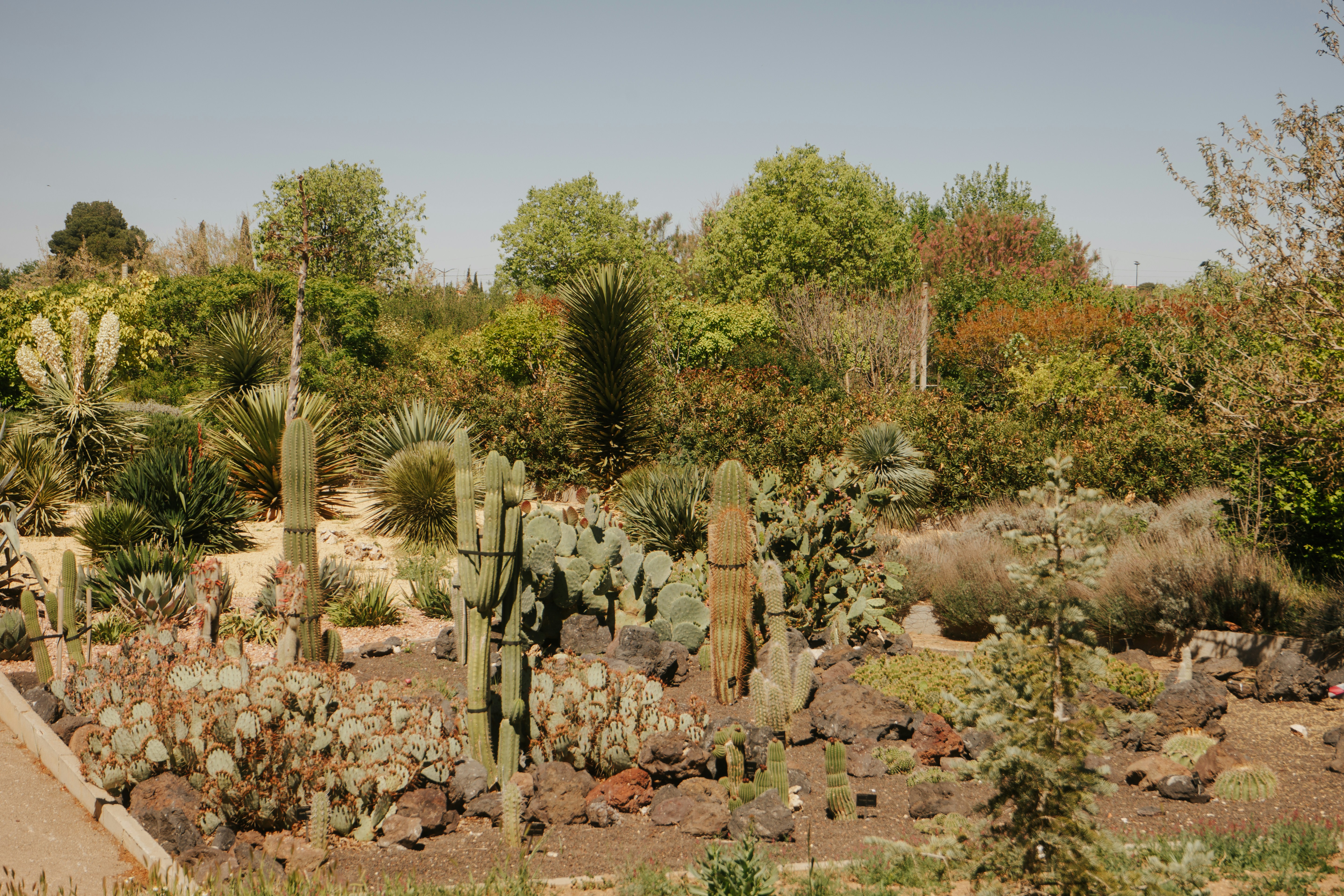 Photo by mariasolponce